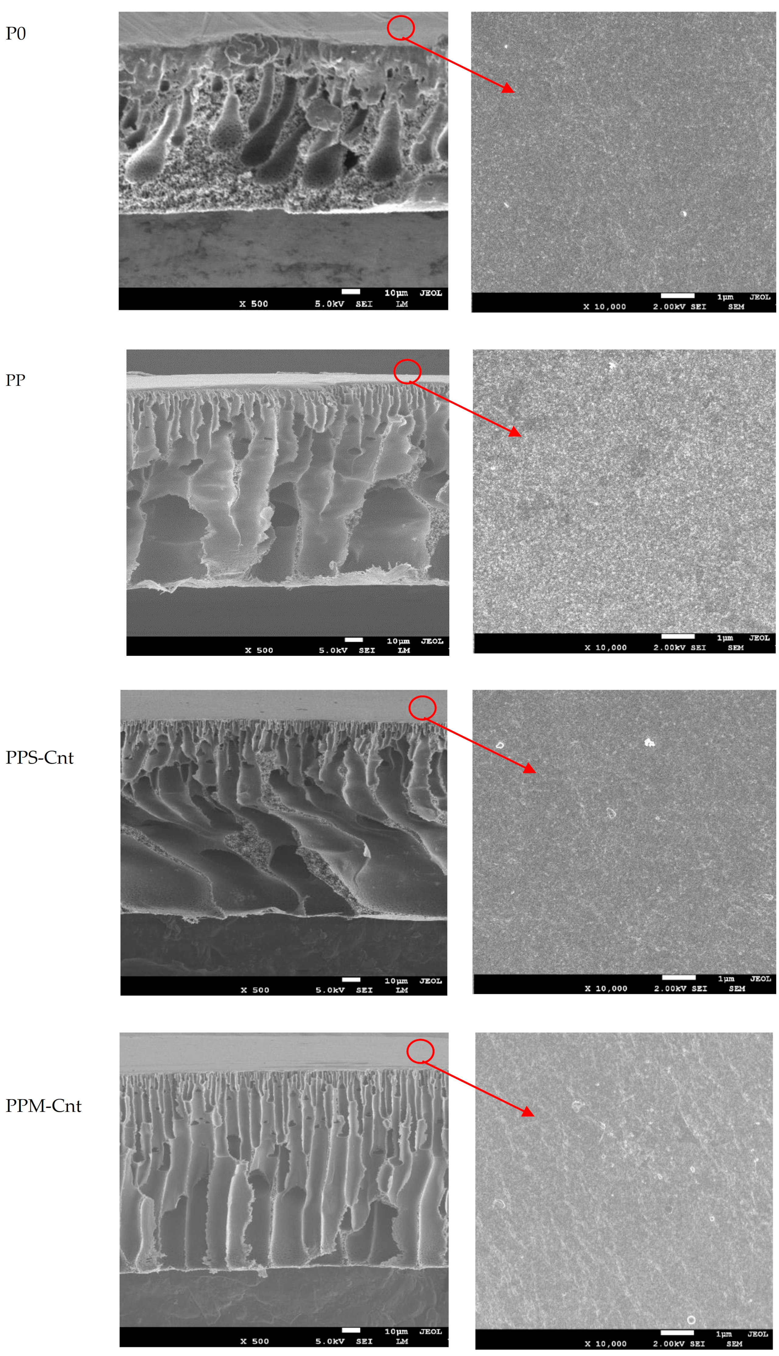 Polymers 13 03632 g002