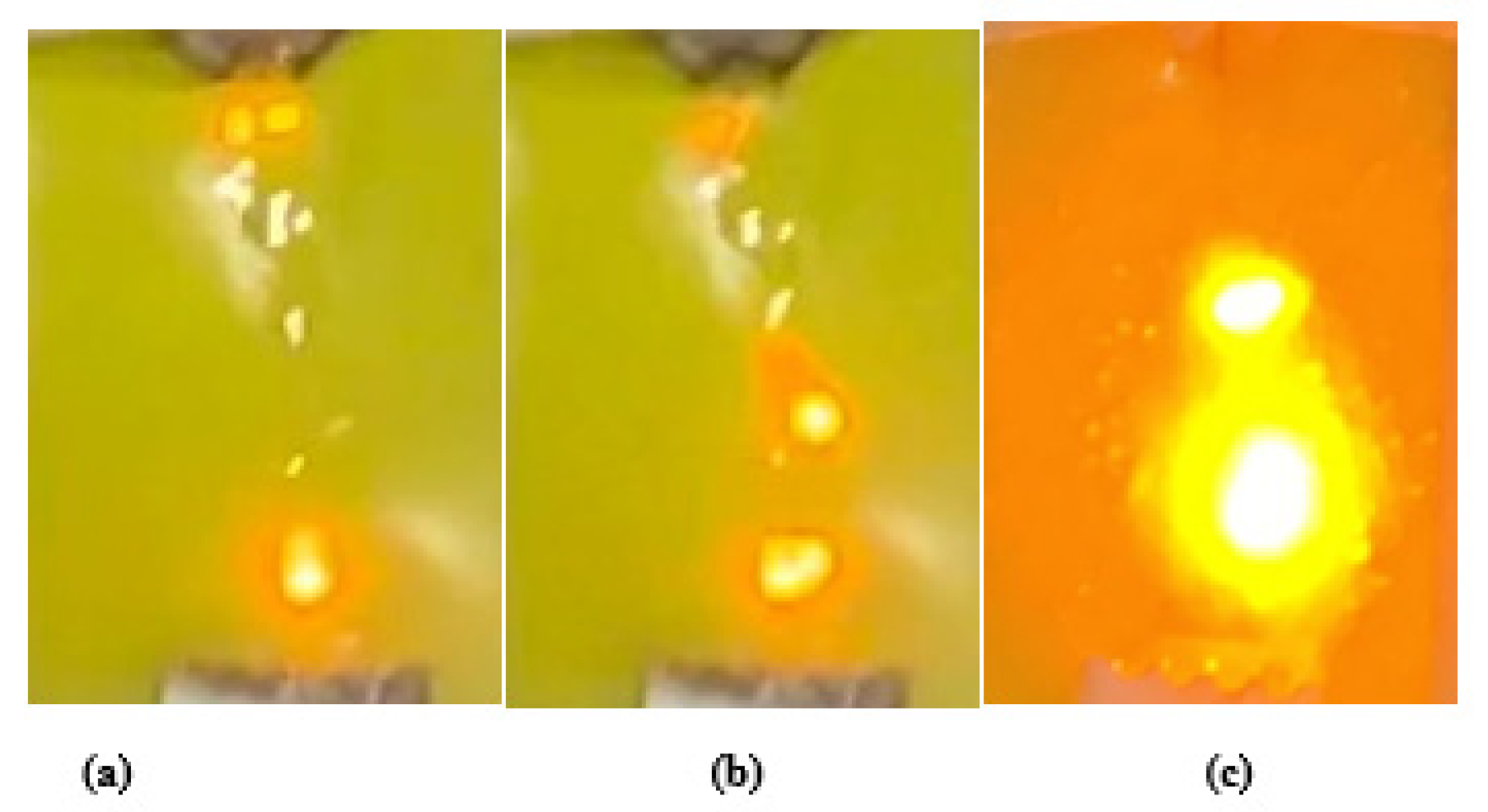 Polymers 13 03634 g003