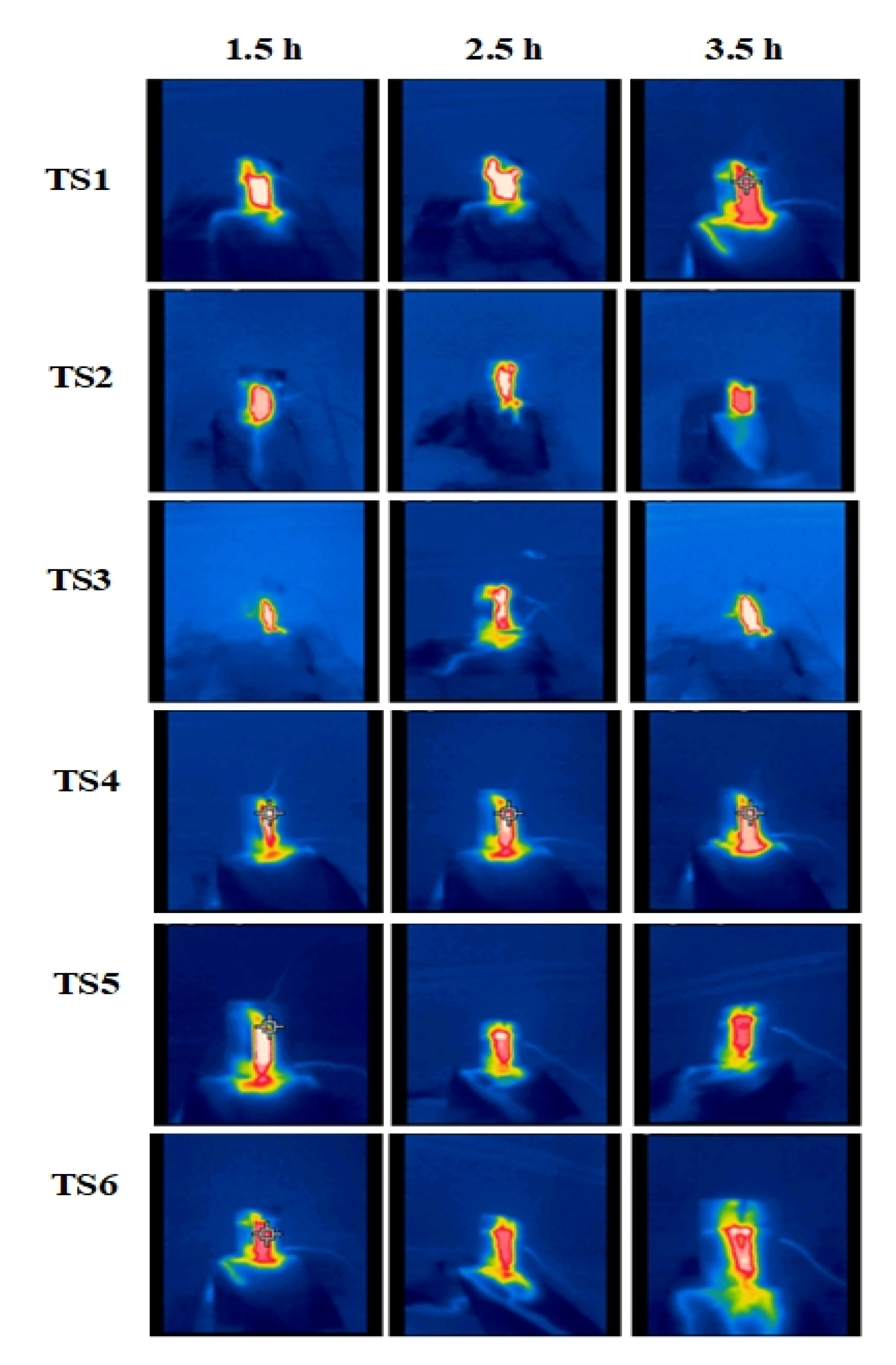 Polymers 13 03634 g011
