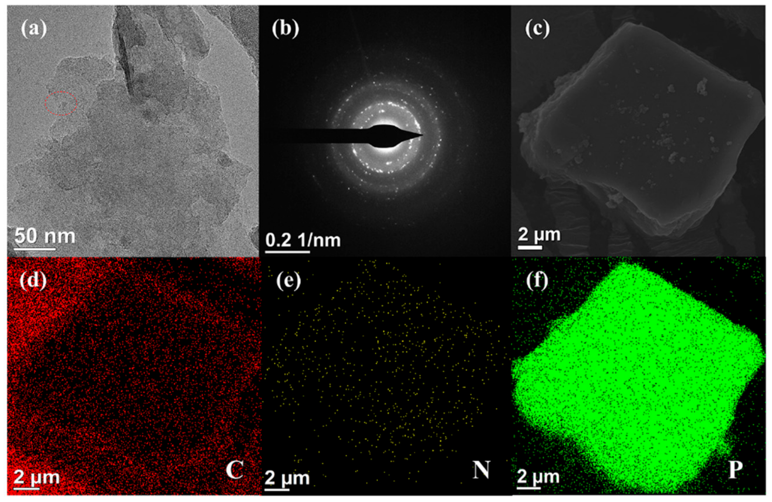 Polymers 13 03635 g003