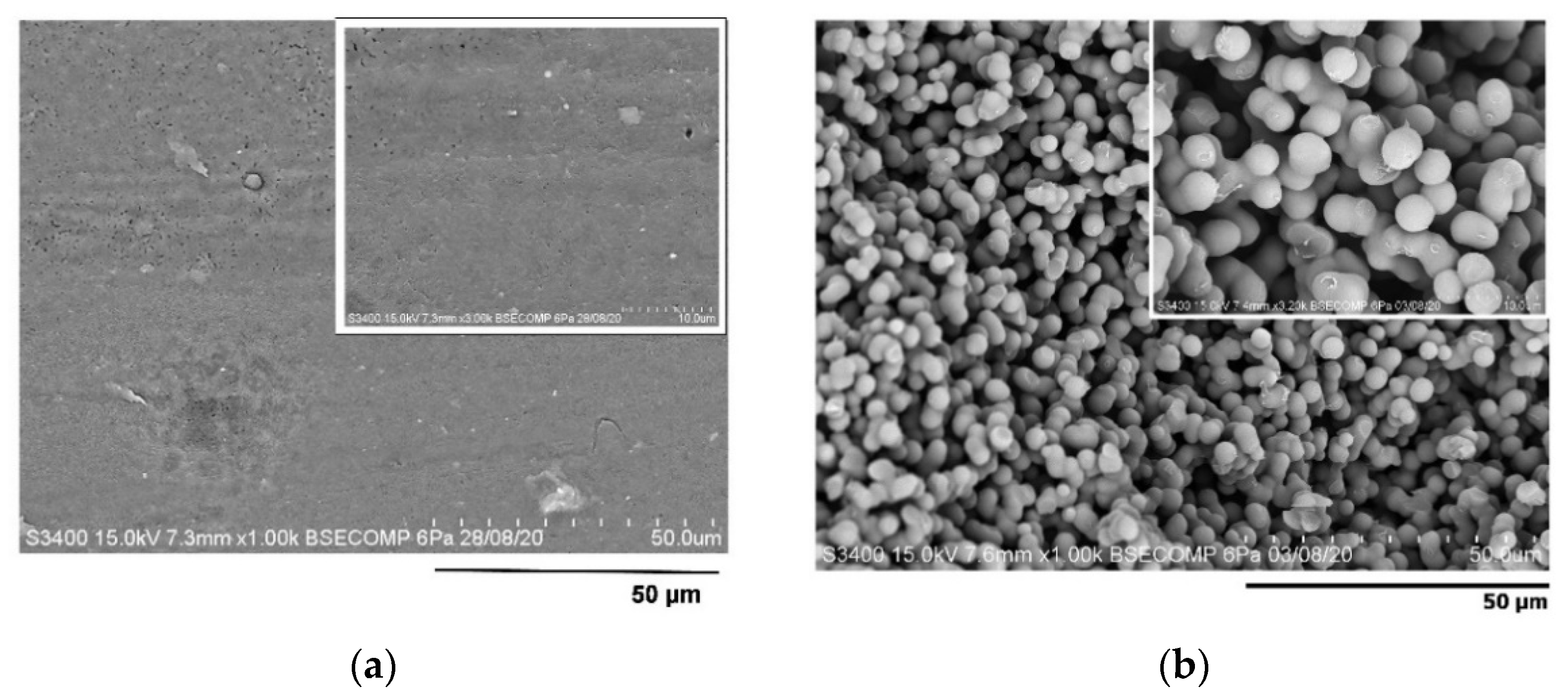 Polymers 13 03639 g006