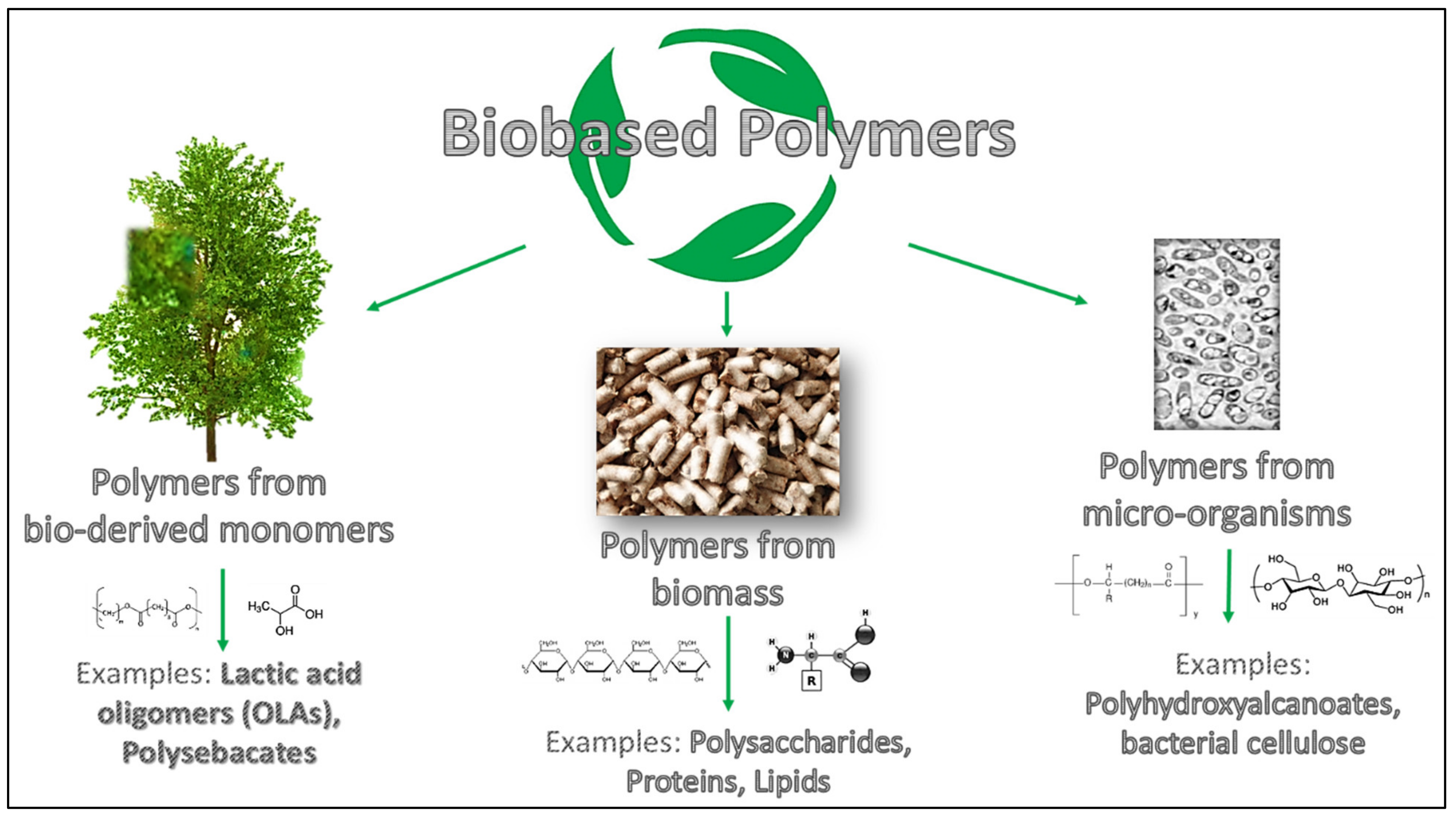 Polymers 13 03640 g001