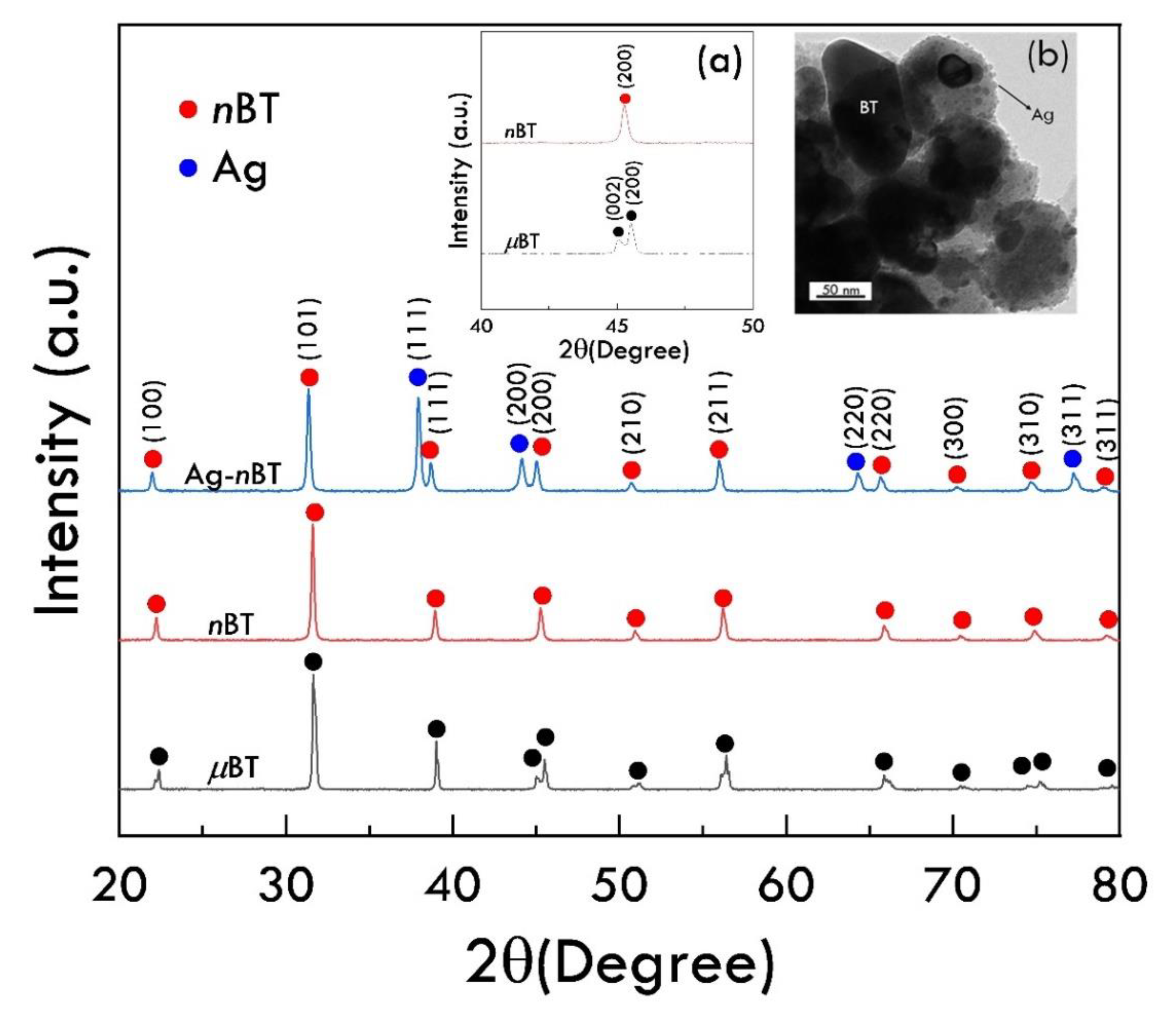 Polymers 13 03641 g002