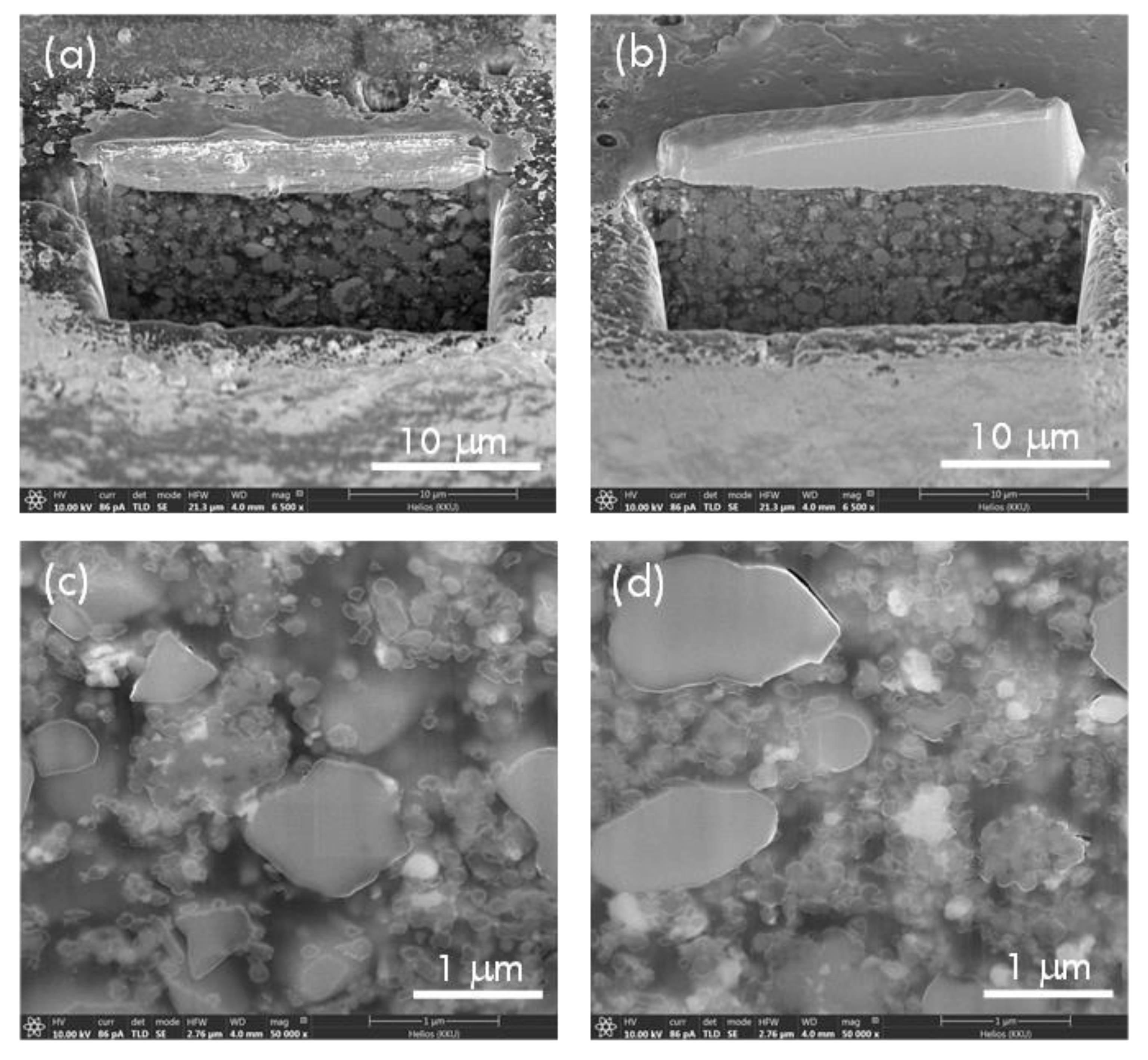 Polymers 13 03641 g003