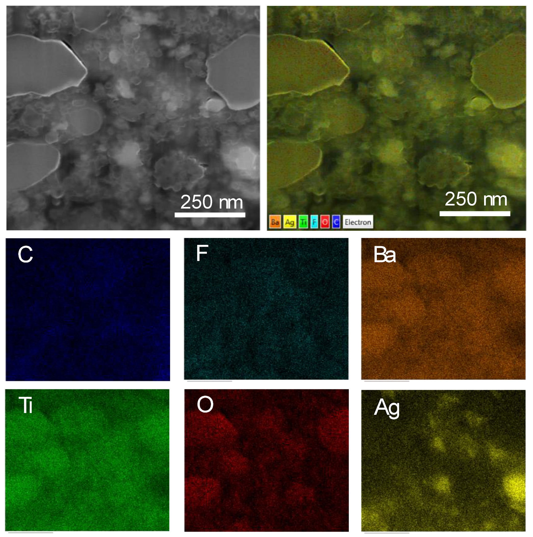 Polymers 13 03641 g004