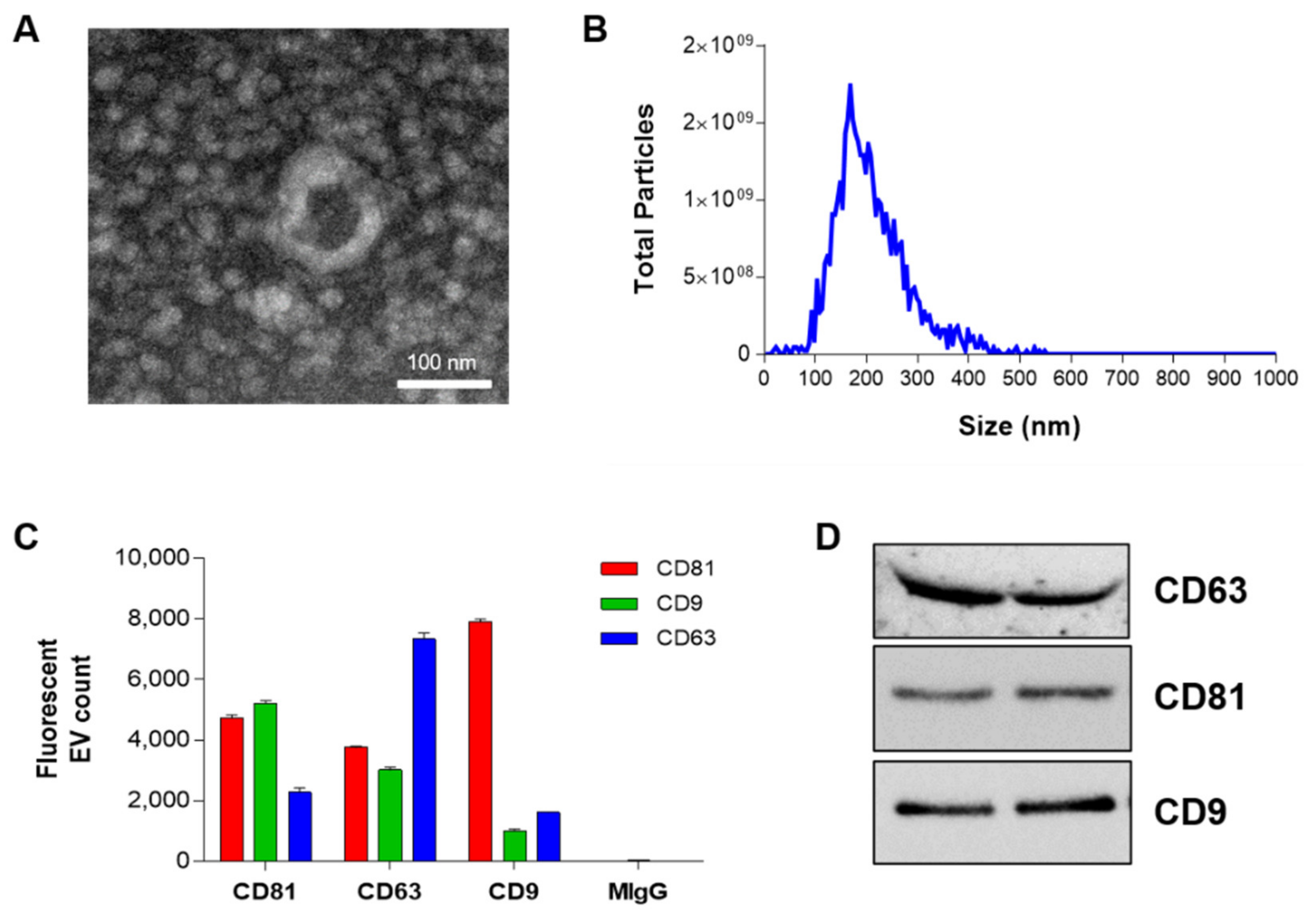 Polymers 13 03643 g002
