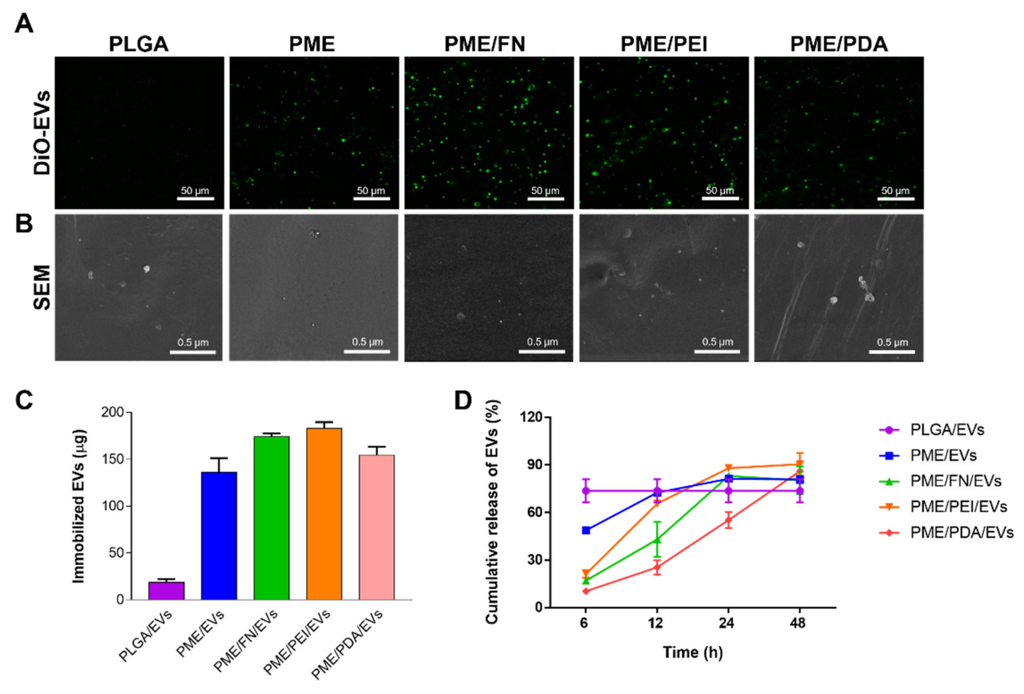 Polymers 13 03643 g003
