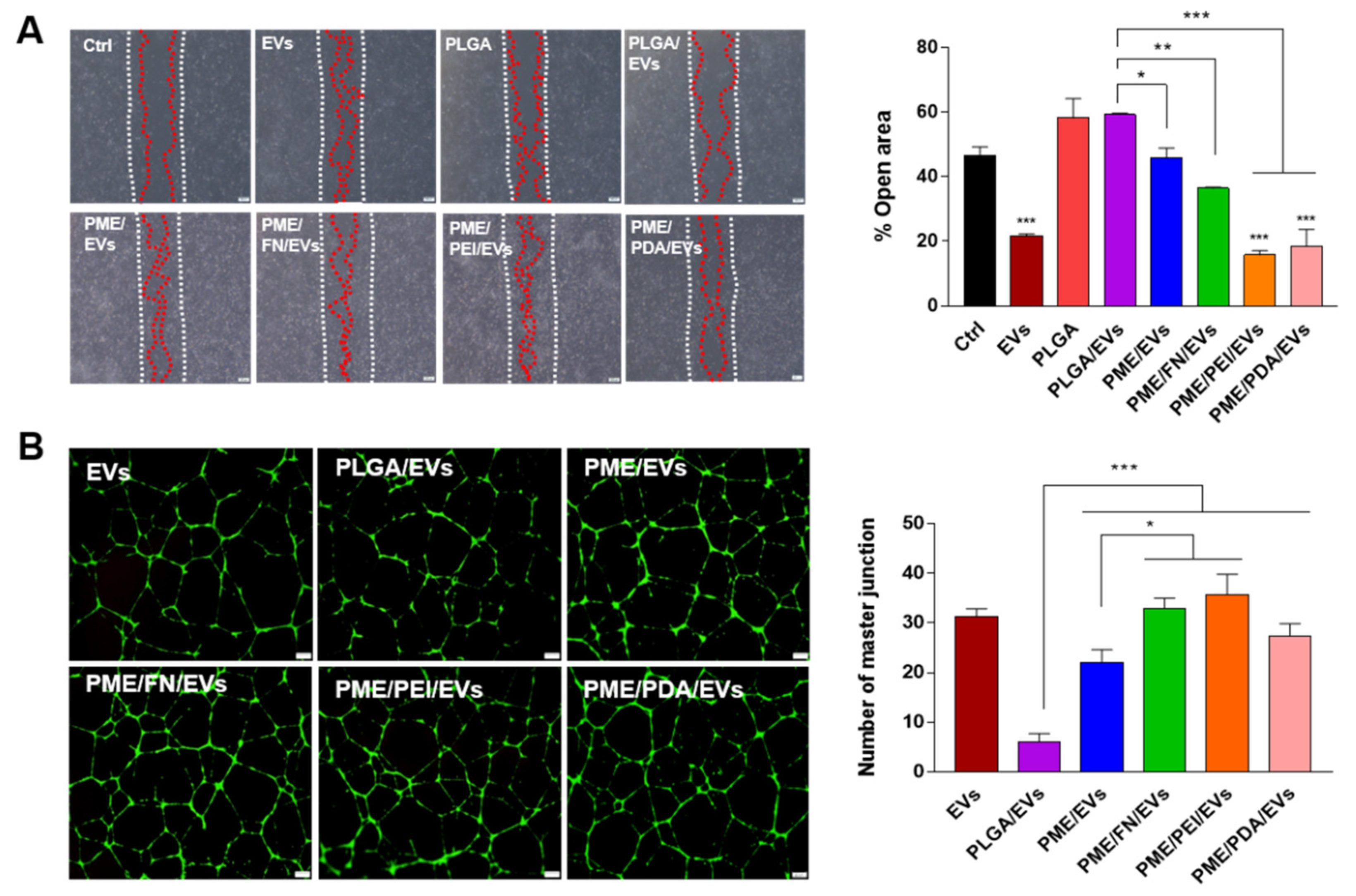 Polymers 13 03643 g004