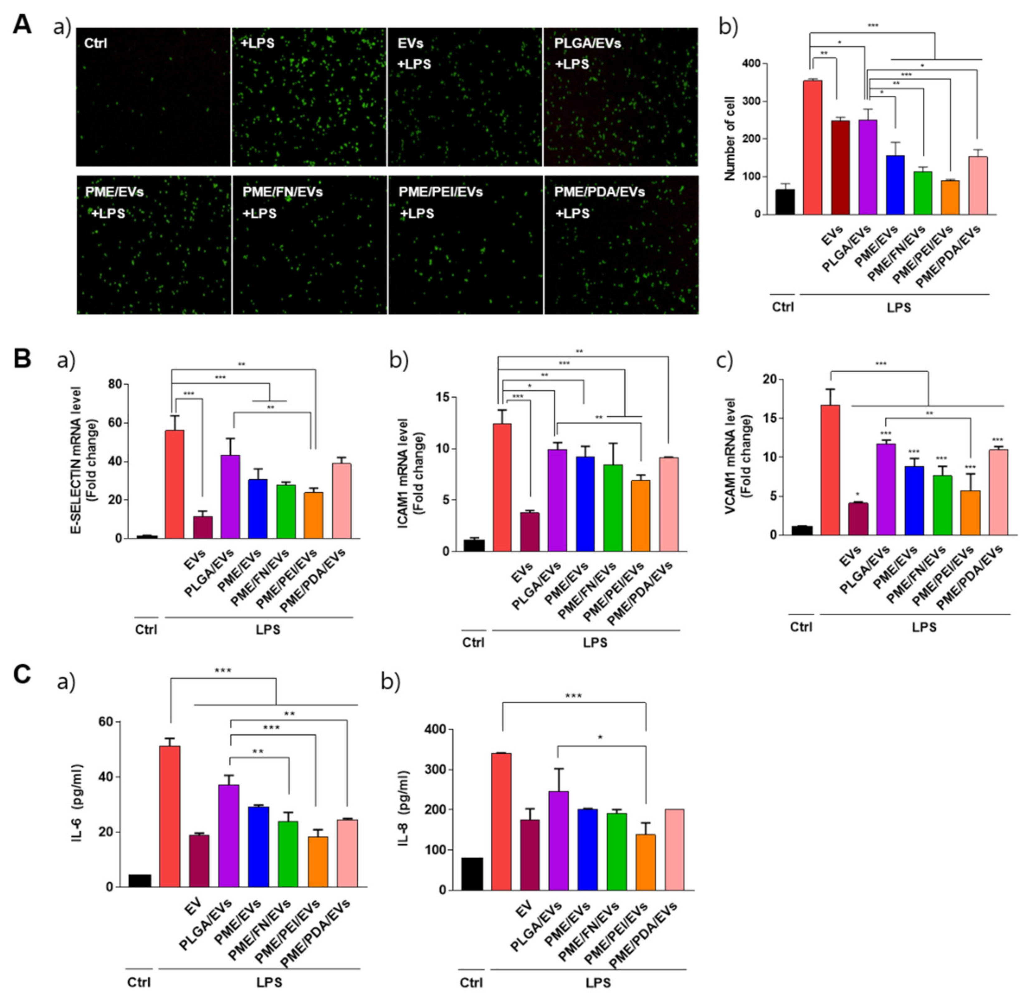 Polymers 13 03643 g005