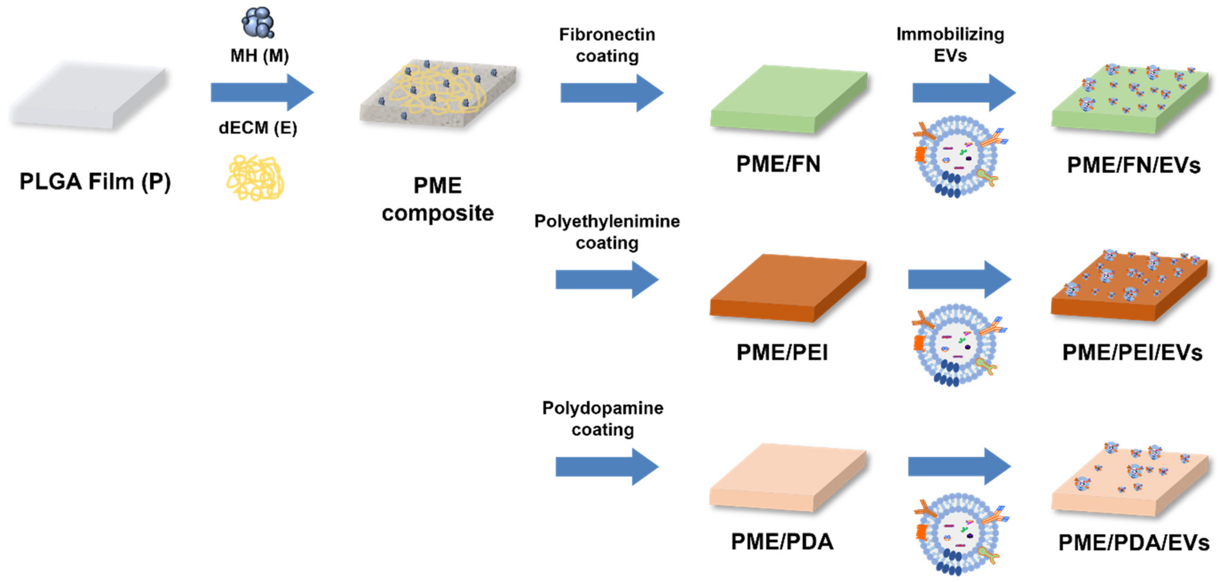 Polymers 13 03643 sch001