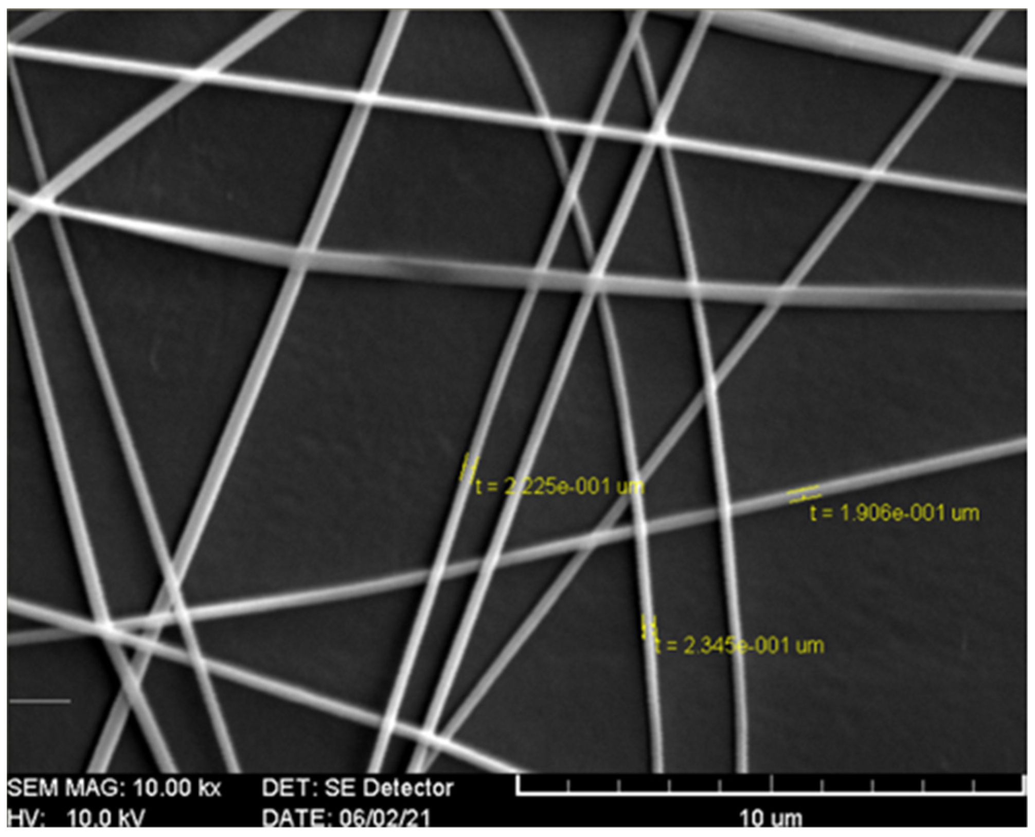 Polymers 13 03646 g001