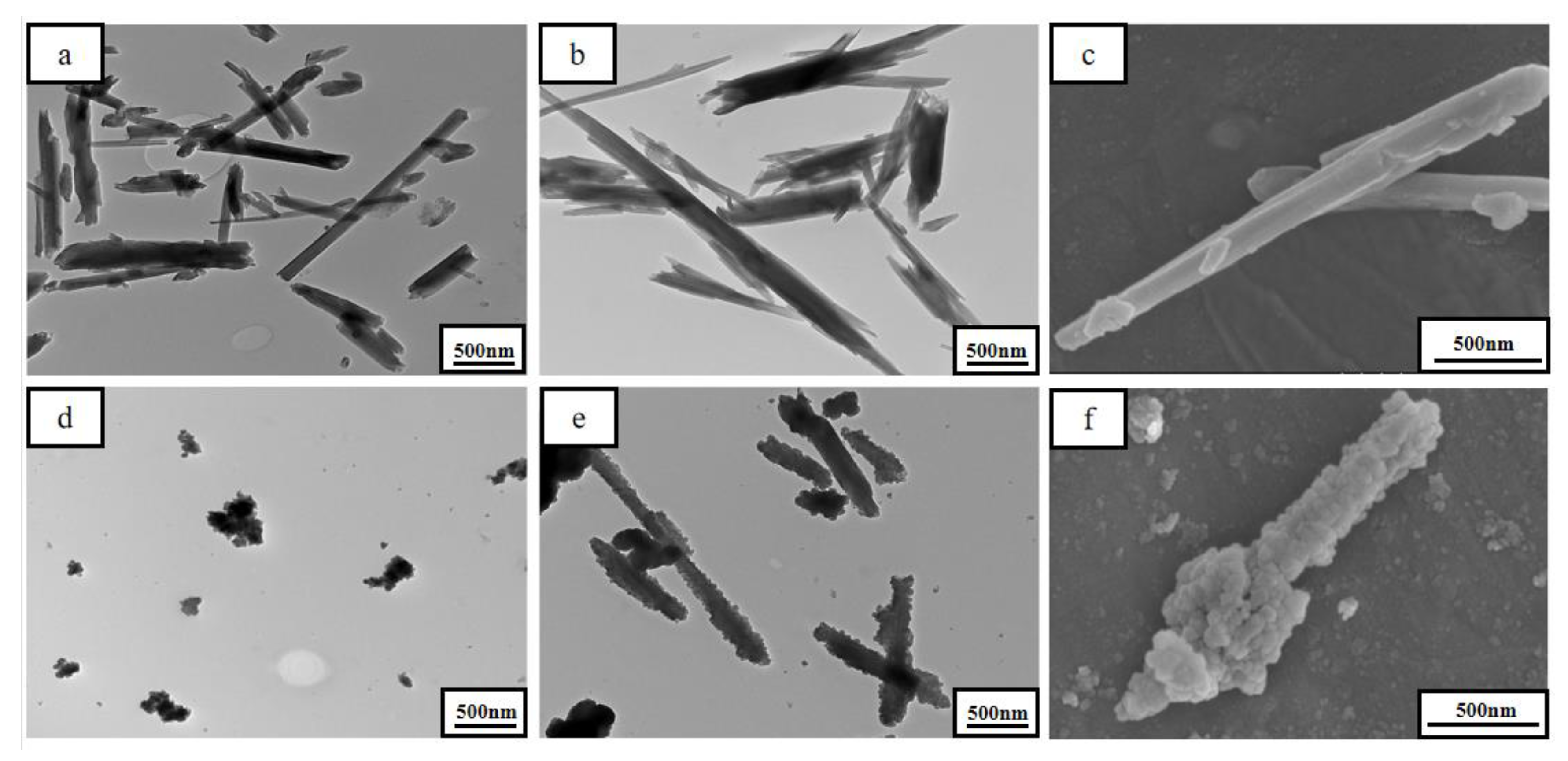 Polymers 13 03648 g002