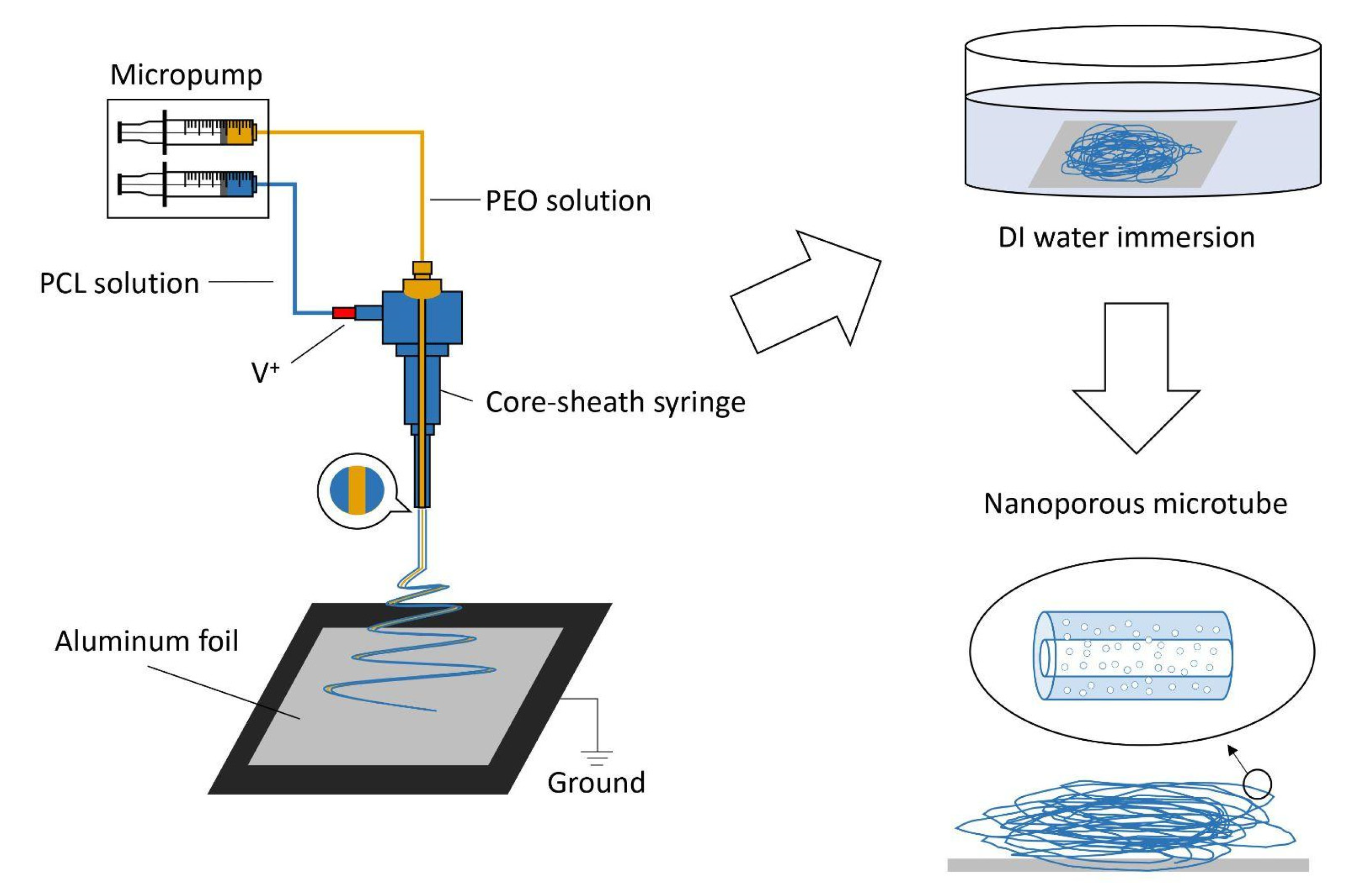 Polymers 13 03650 g001