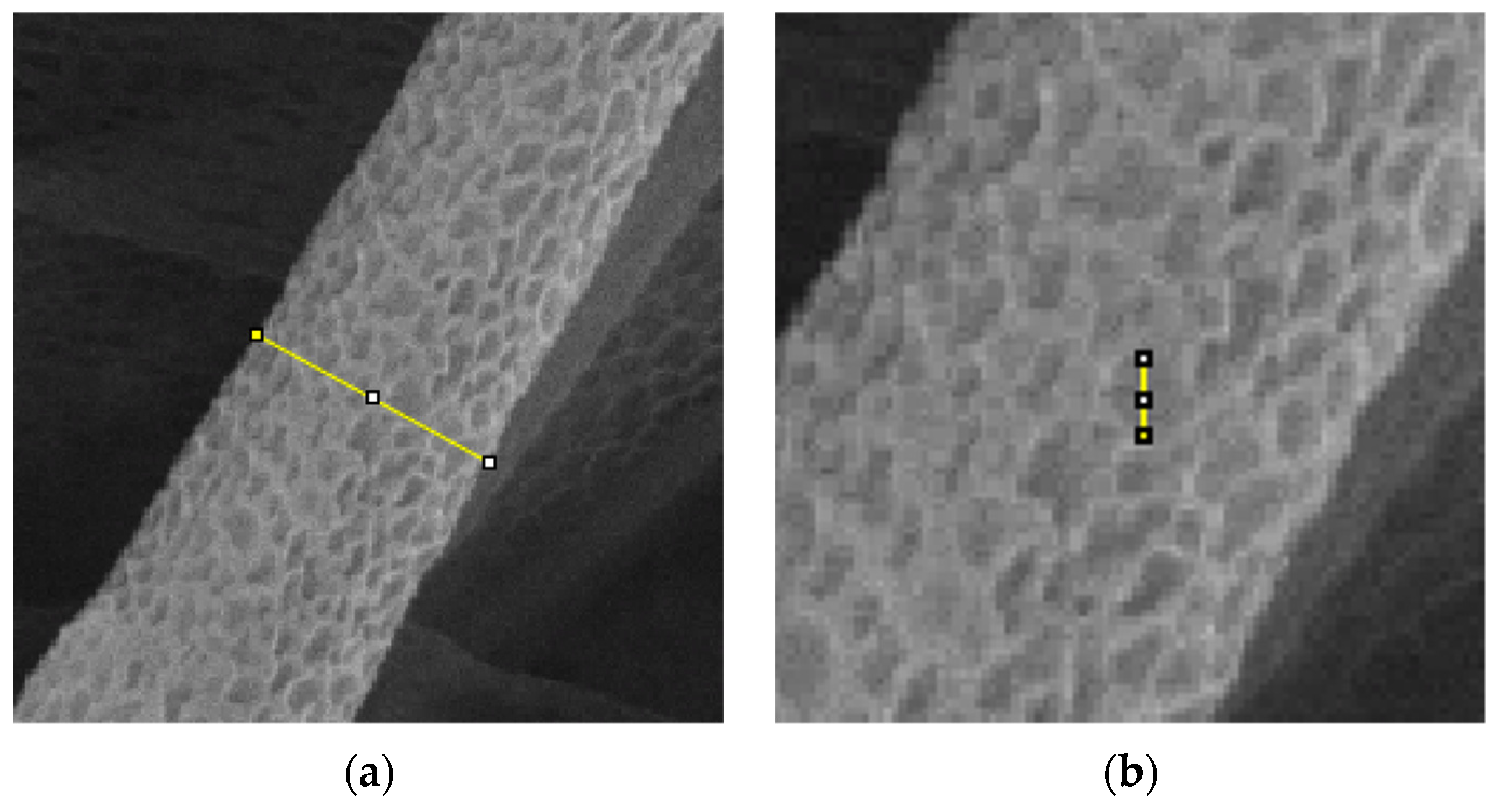 Polymers 13 03650 g002