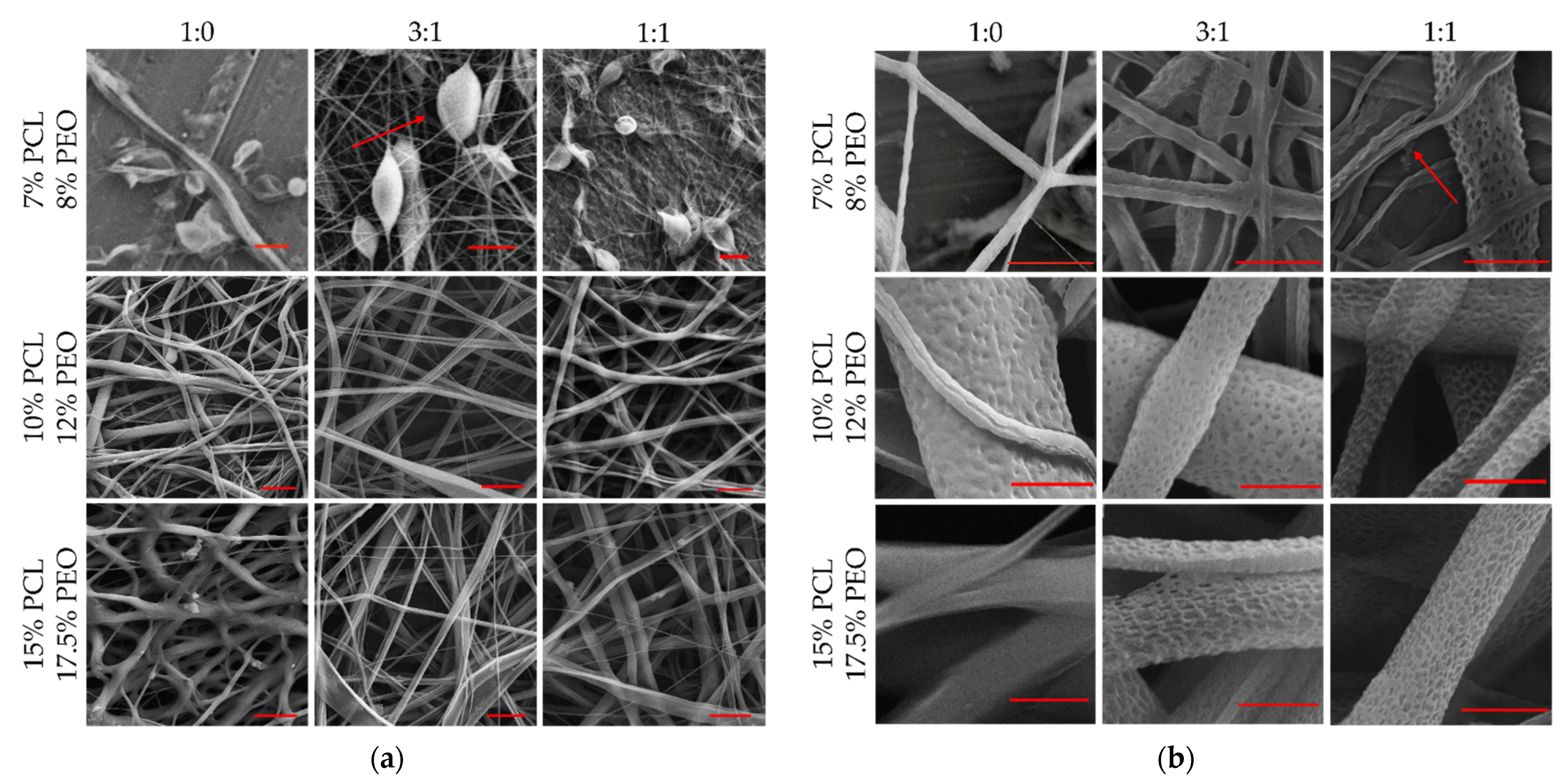 Polymers 13 03650 g004
