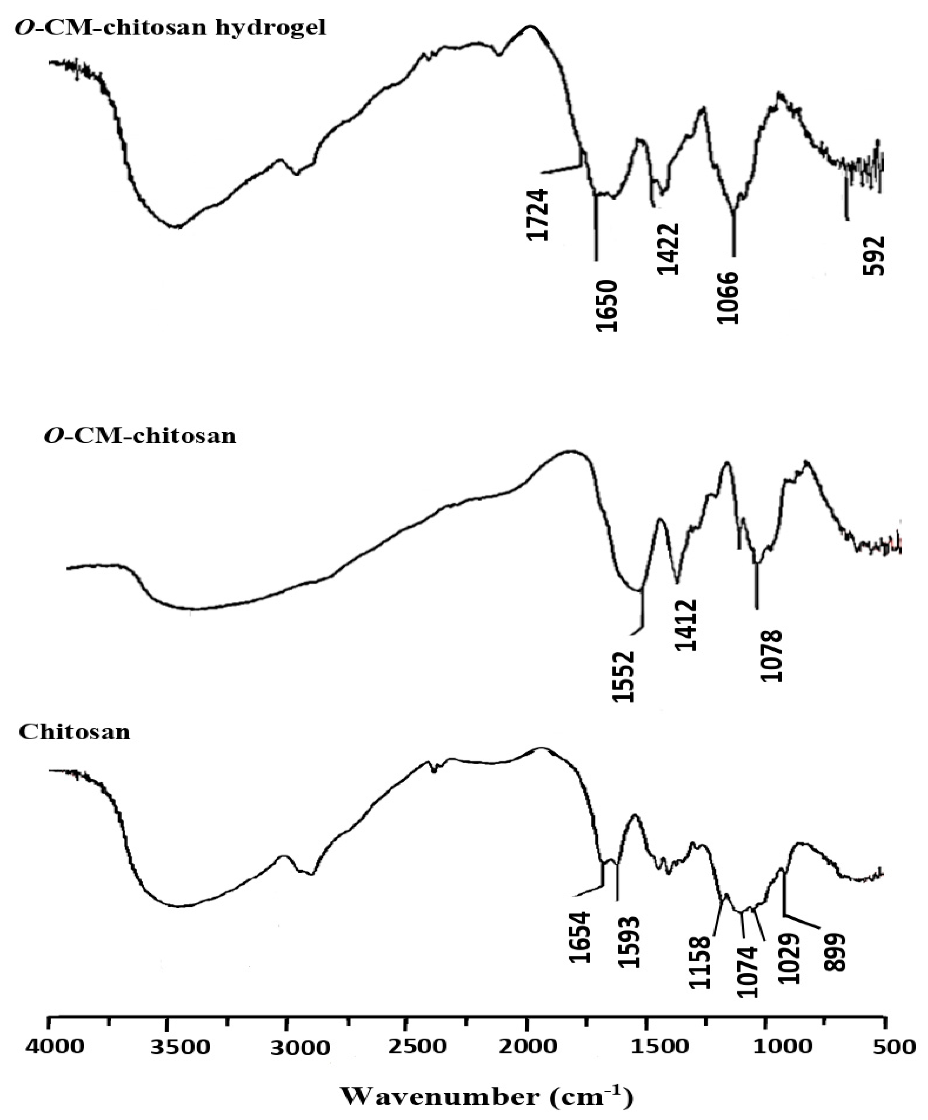 Polymers 13 03659 g003
