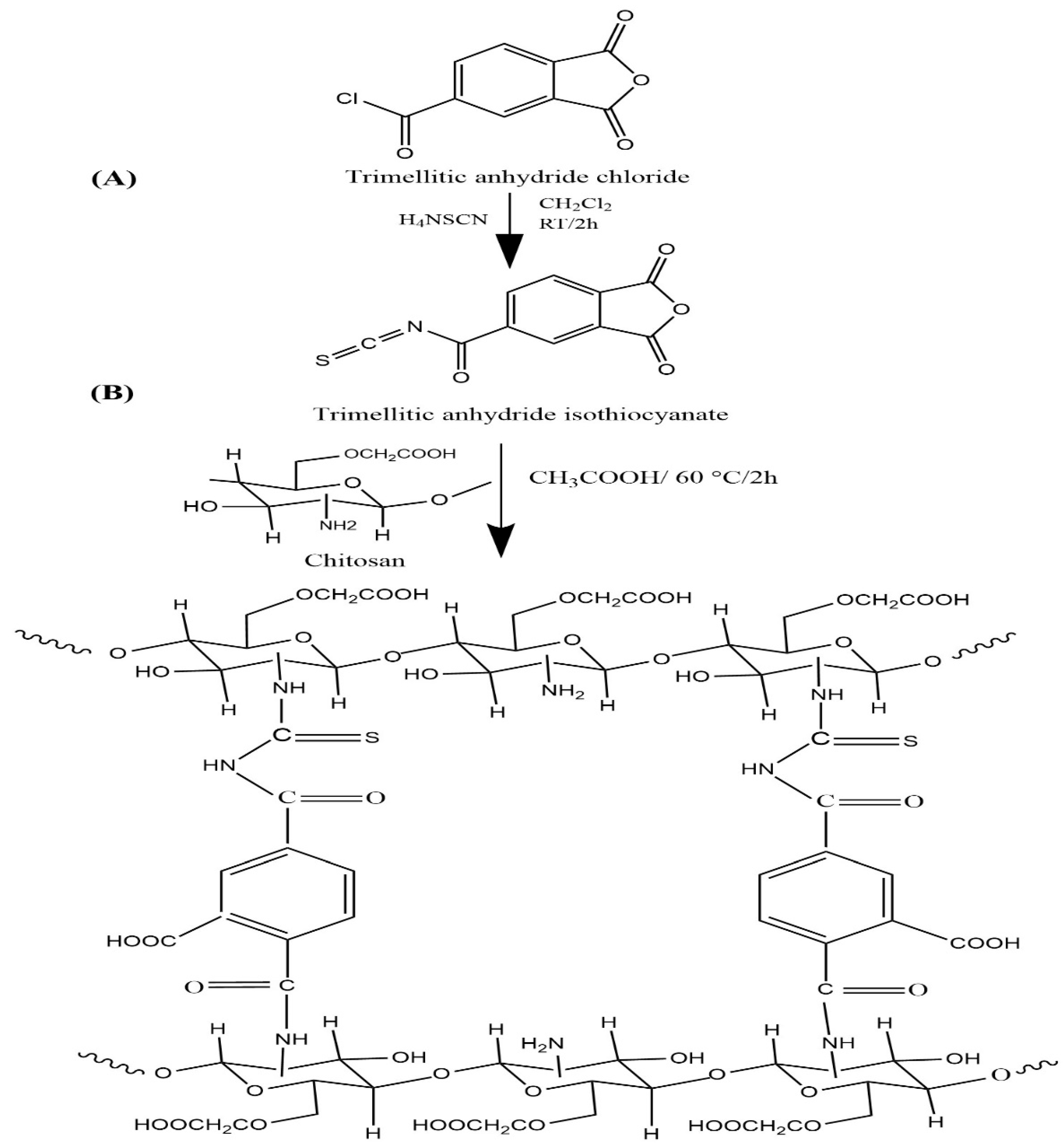 Polymers 13 03659 sch001