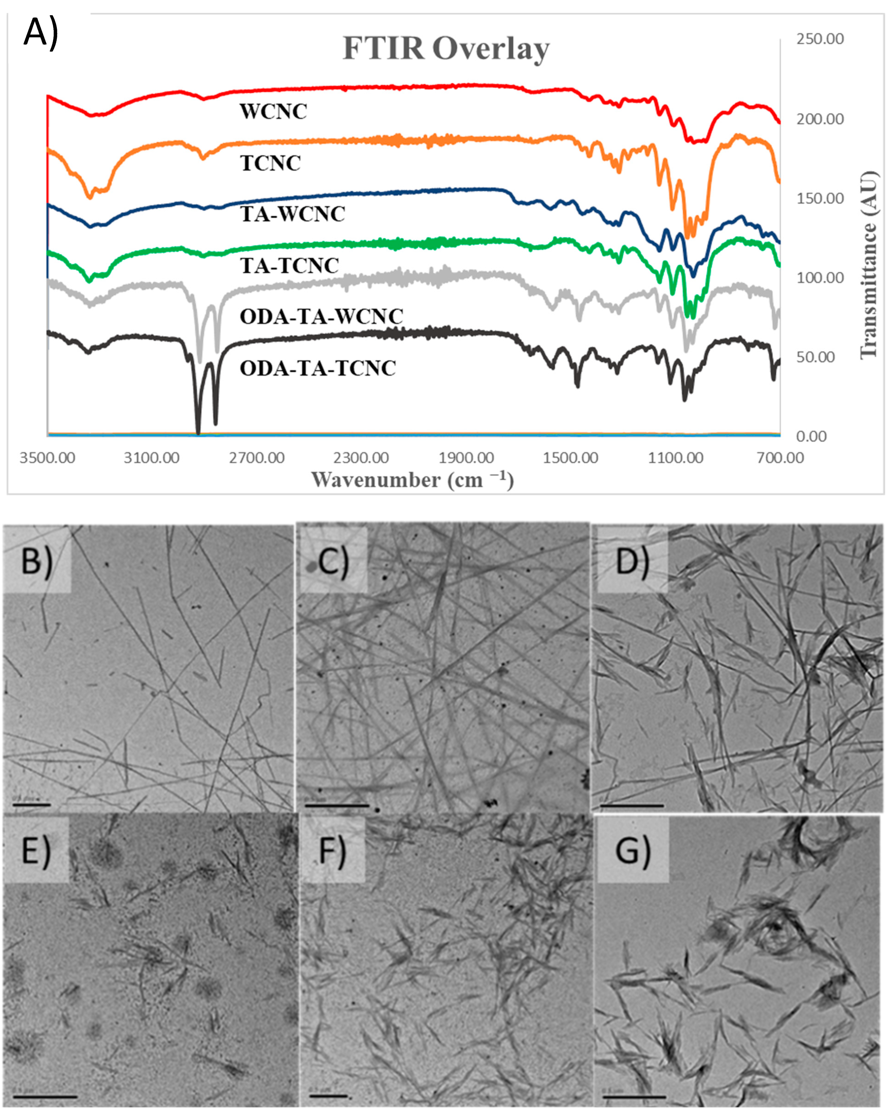 Polymers 13 03661 g001