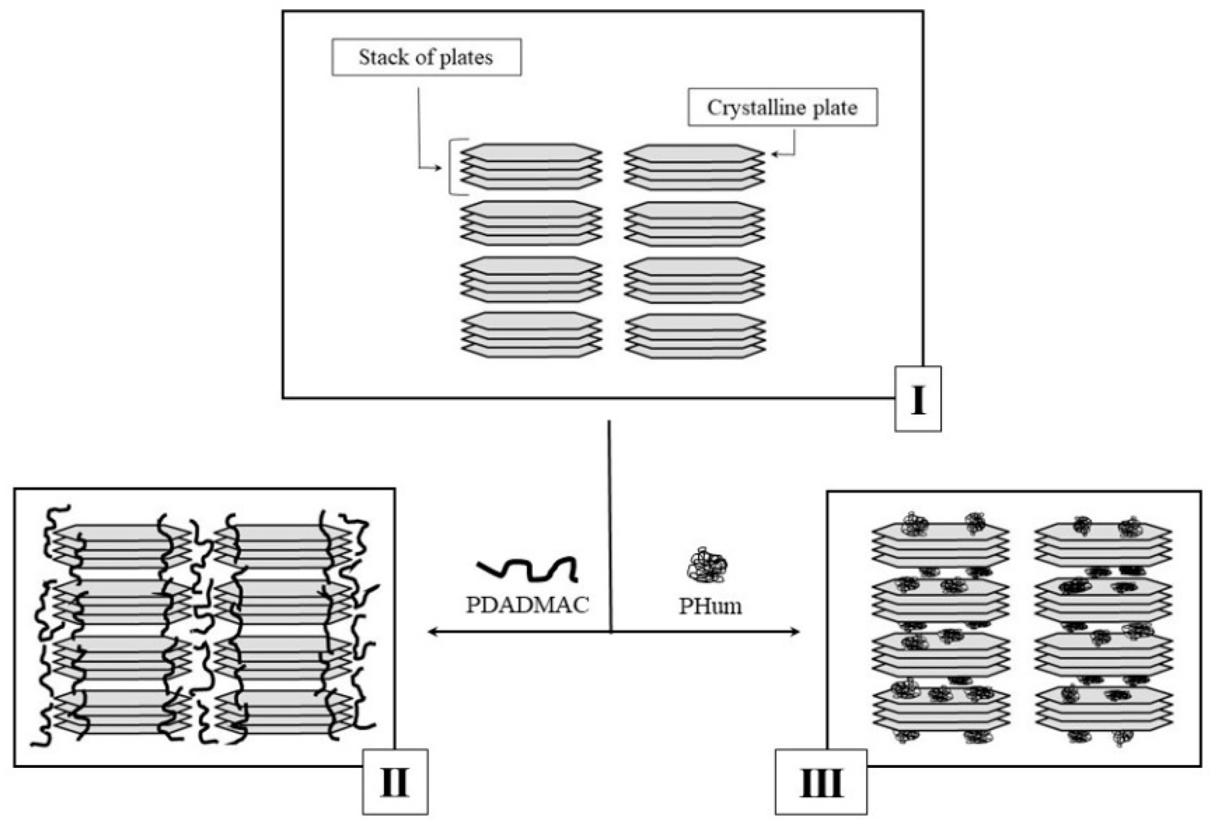 Polymers 13 03662 g003
