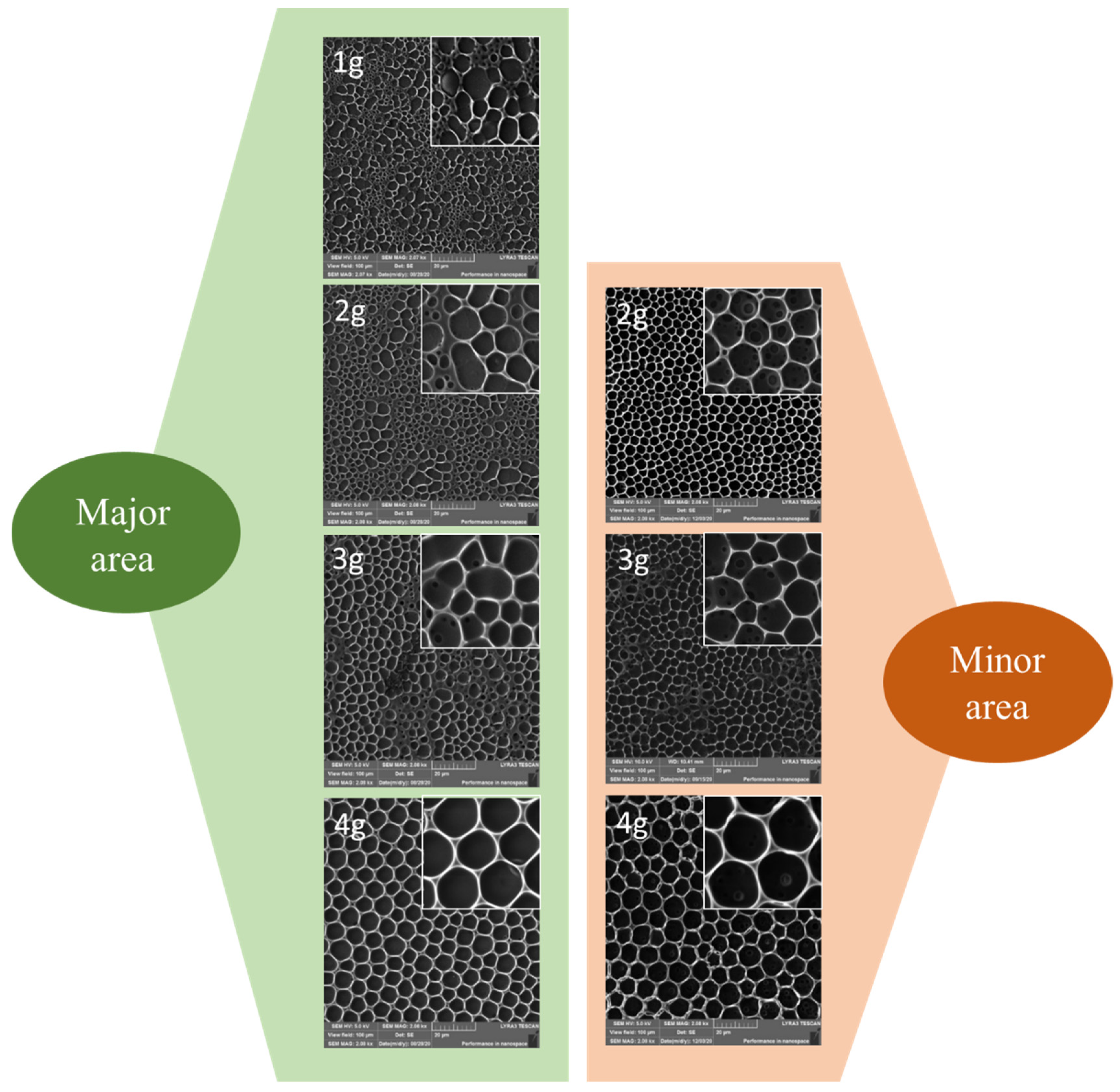 Polymers 13 03663 g001