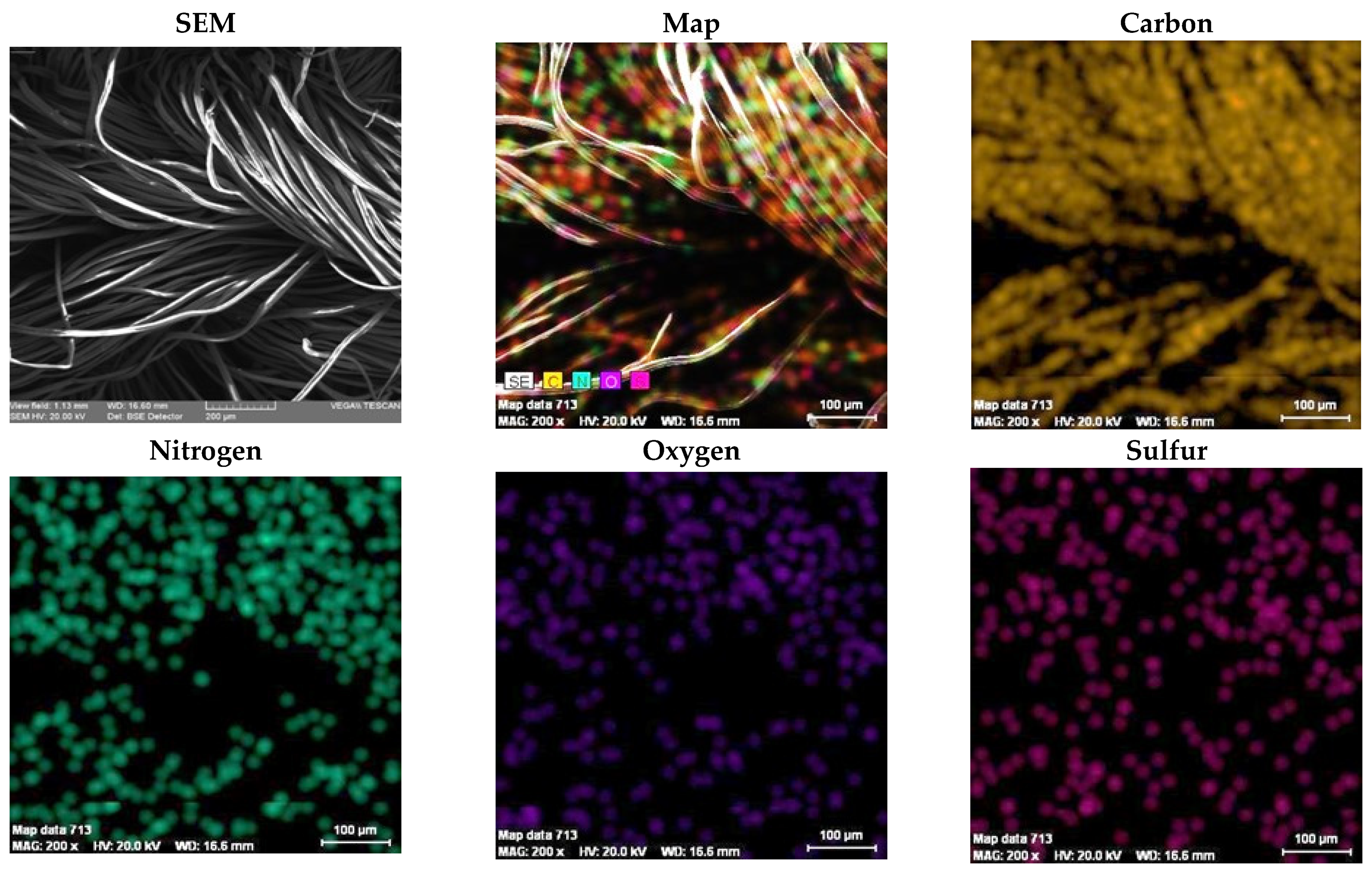 Polymers 13 03665 g008