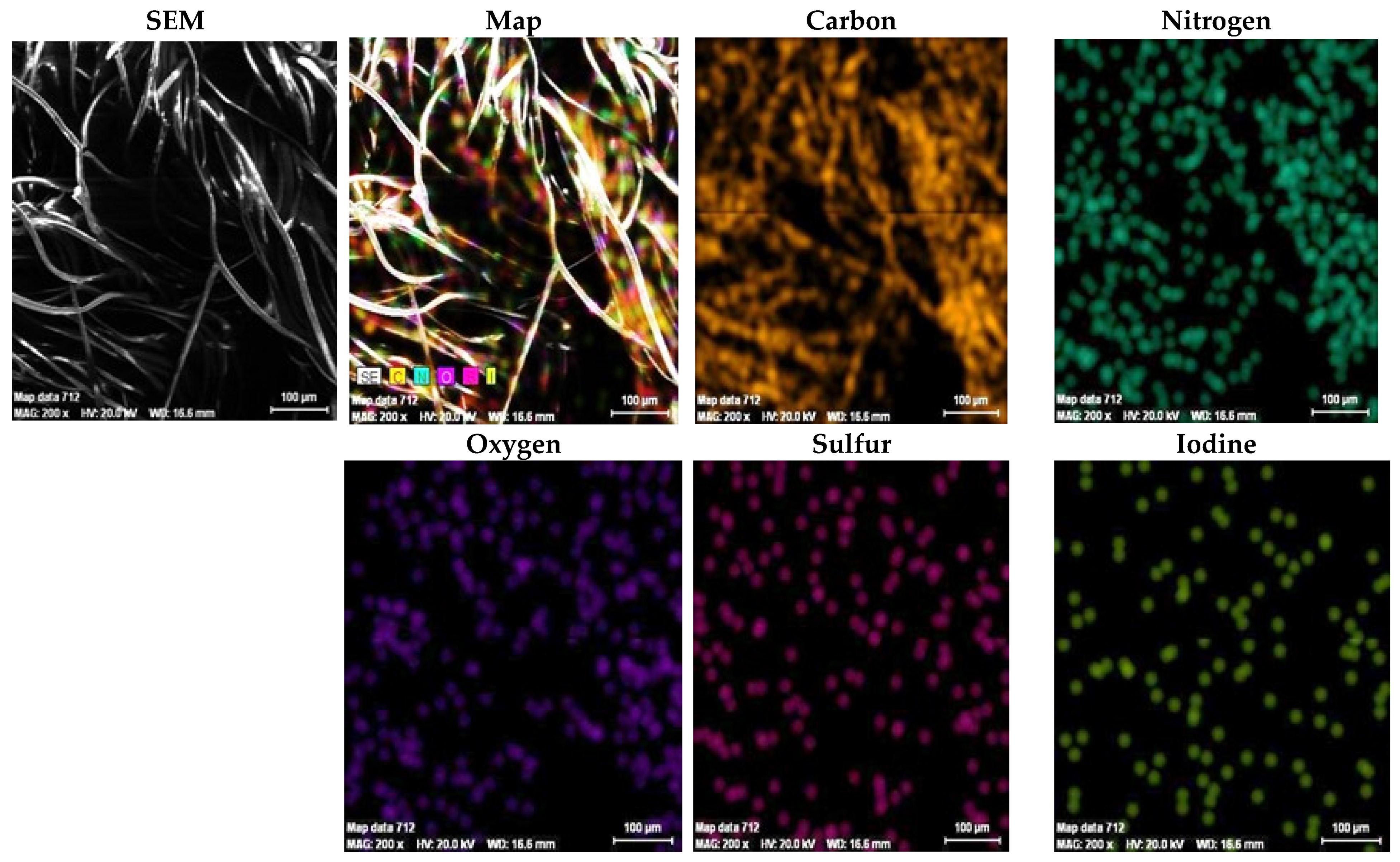 Polymers 13 03665 g009