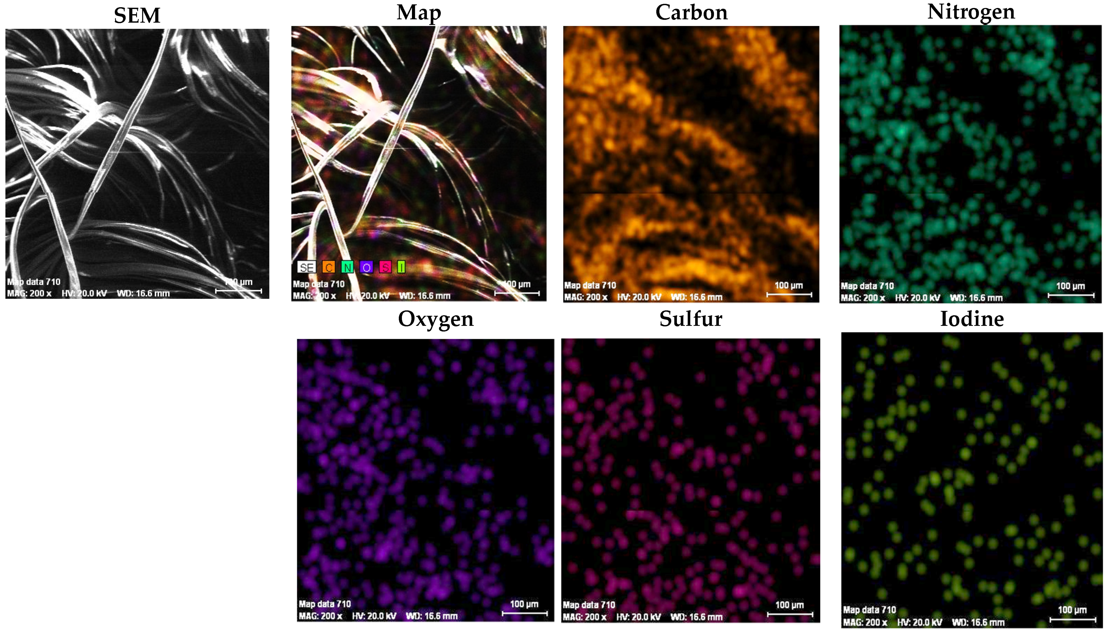 Polymers 13 03665 g012