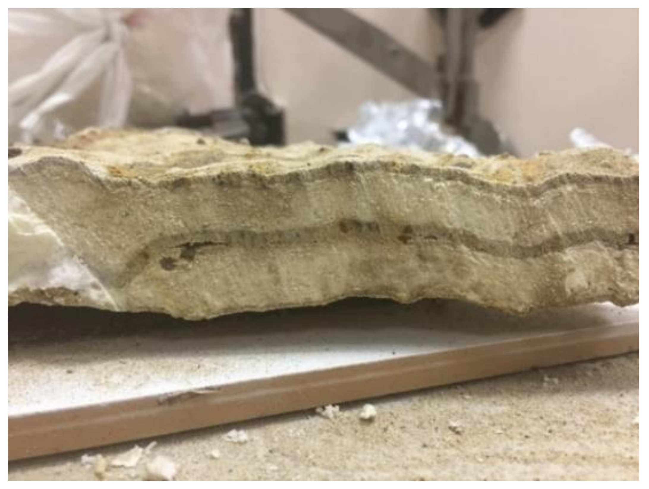 Polymers 13 03666 g001 Polymers 13 03666 g001