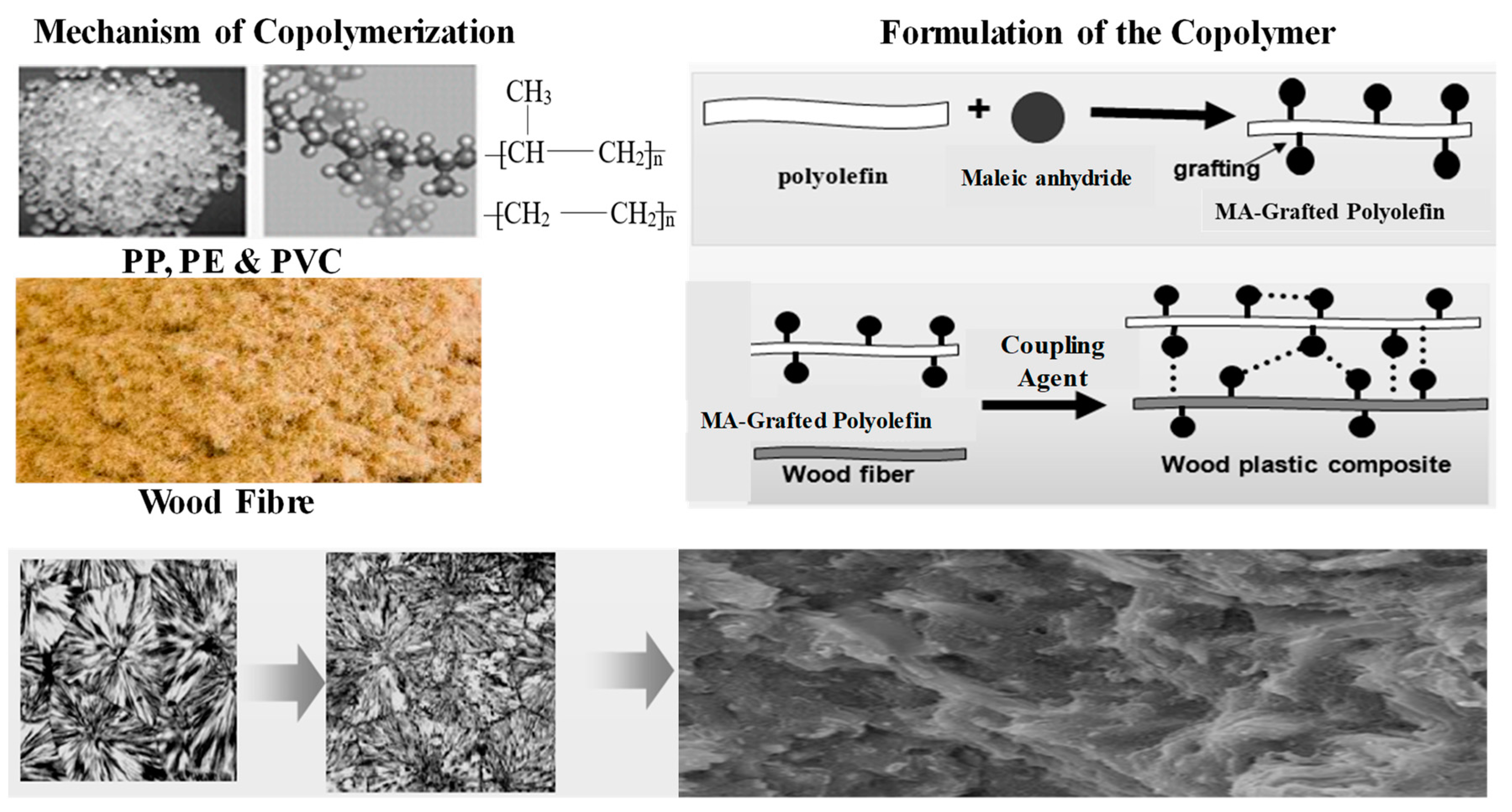Polymers 13 03670 g003