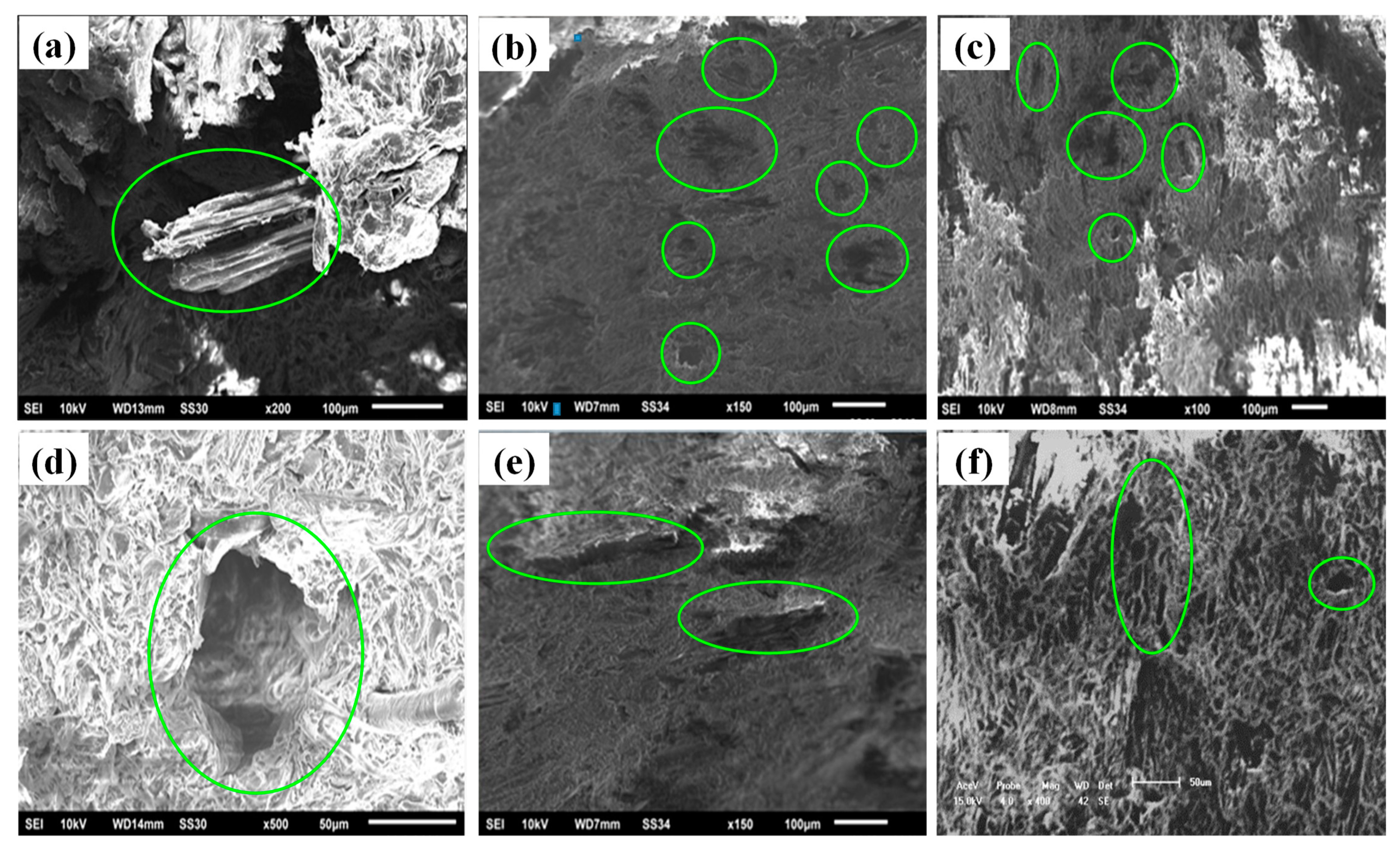 Polymers 13 03670 g008