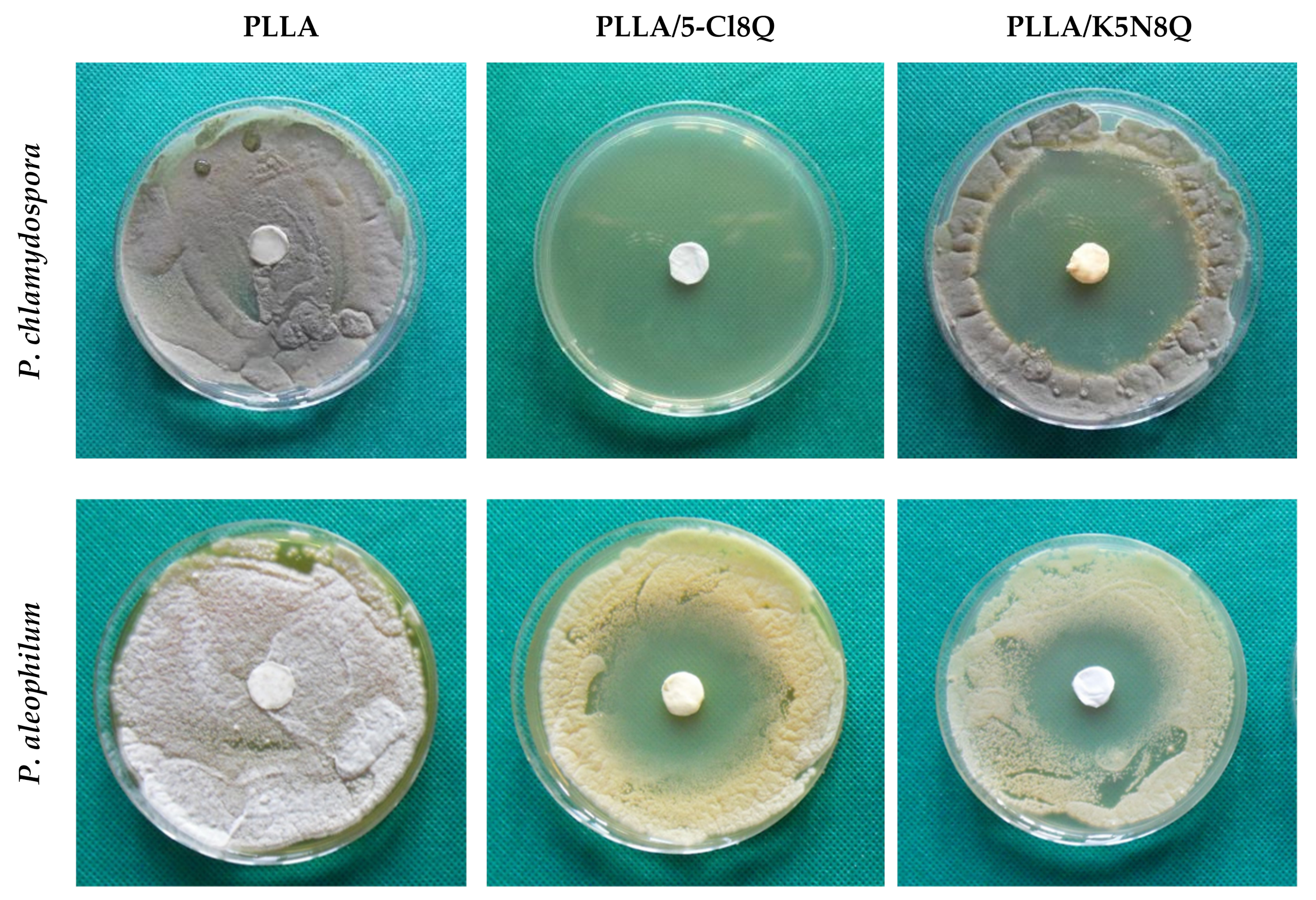 Polymers 13 03673 g007