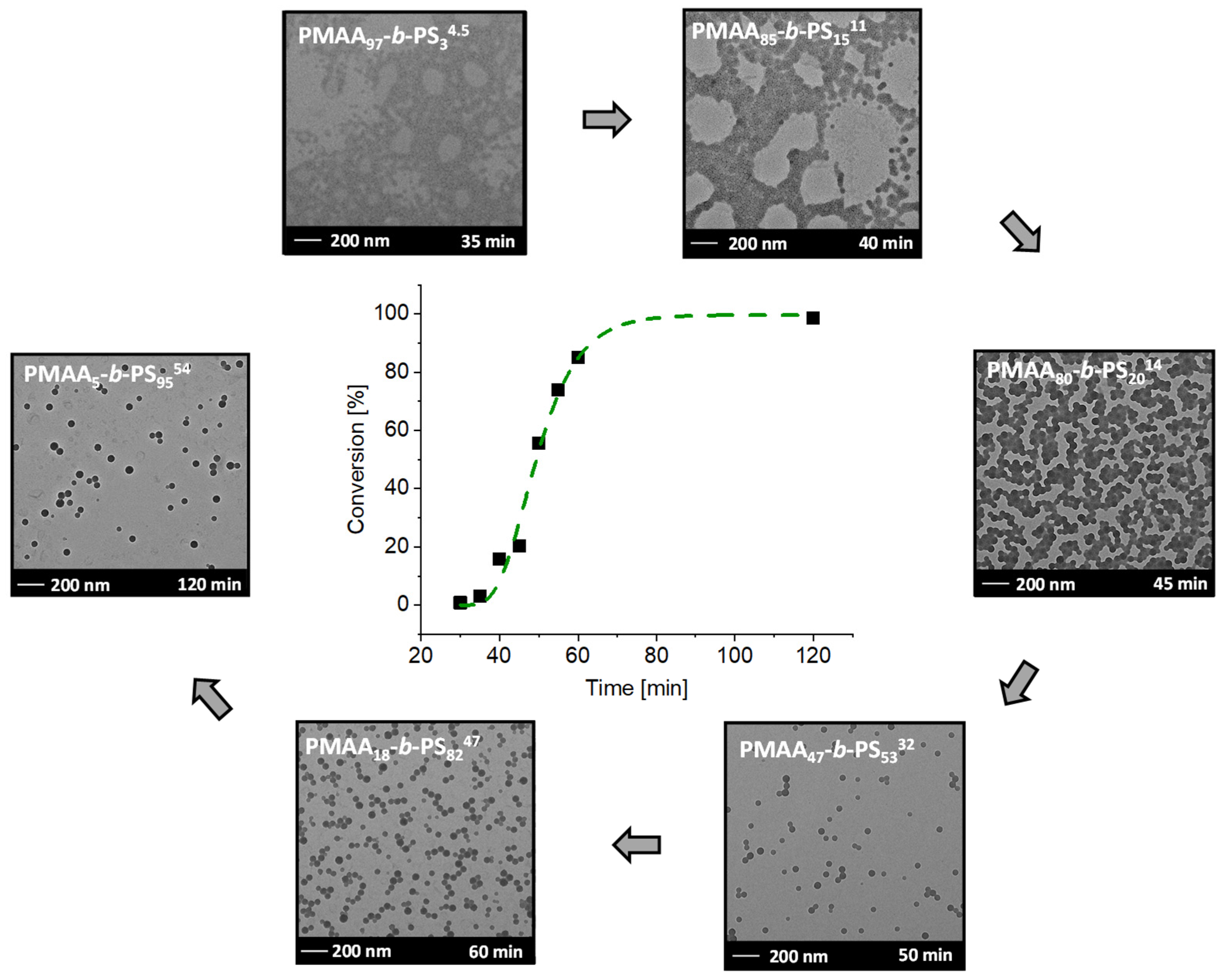Polymers 13 03675 g006