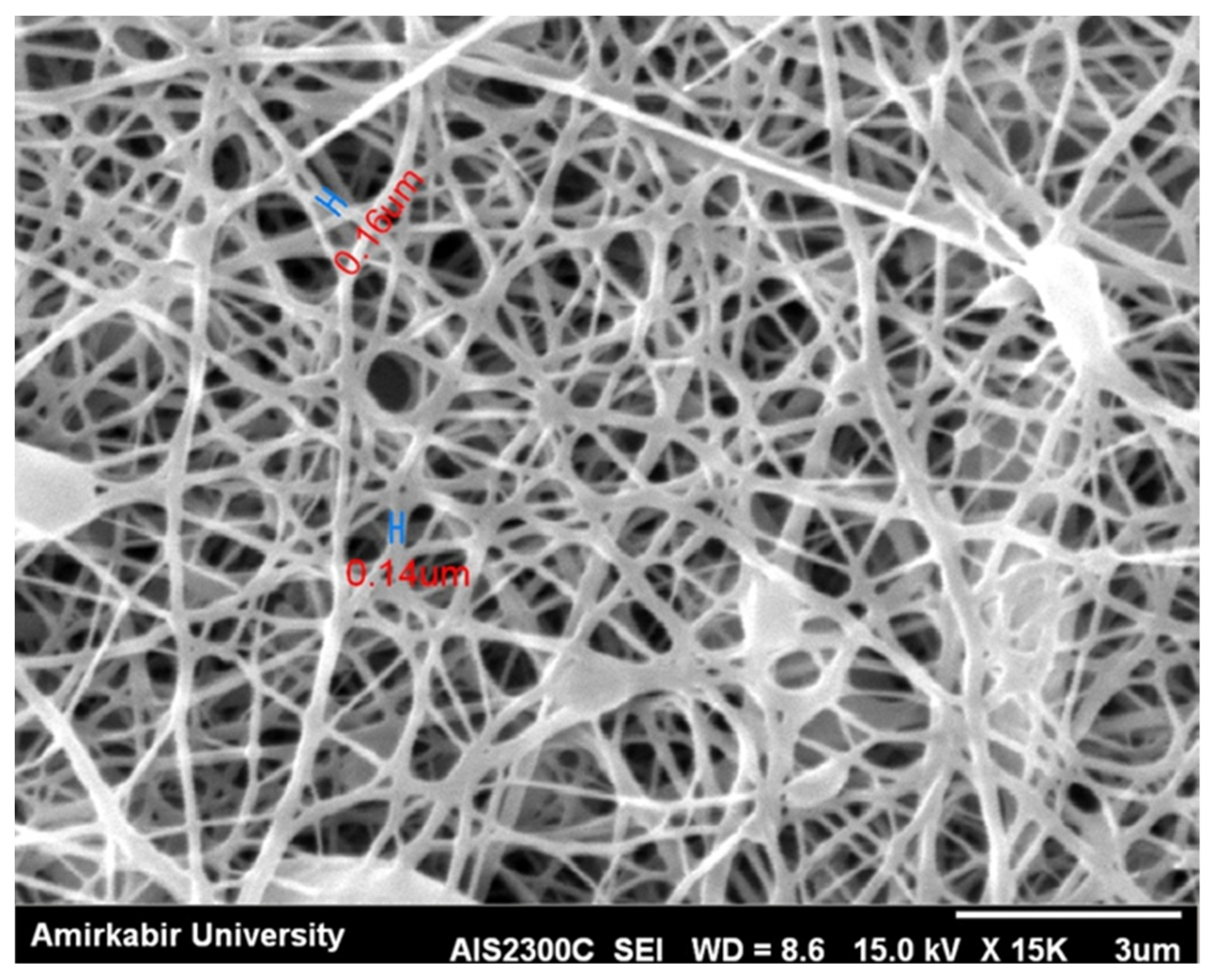Polymers 13 03680 g003