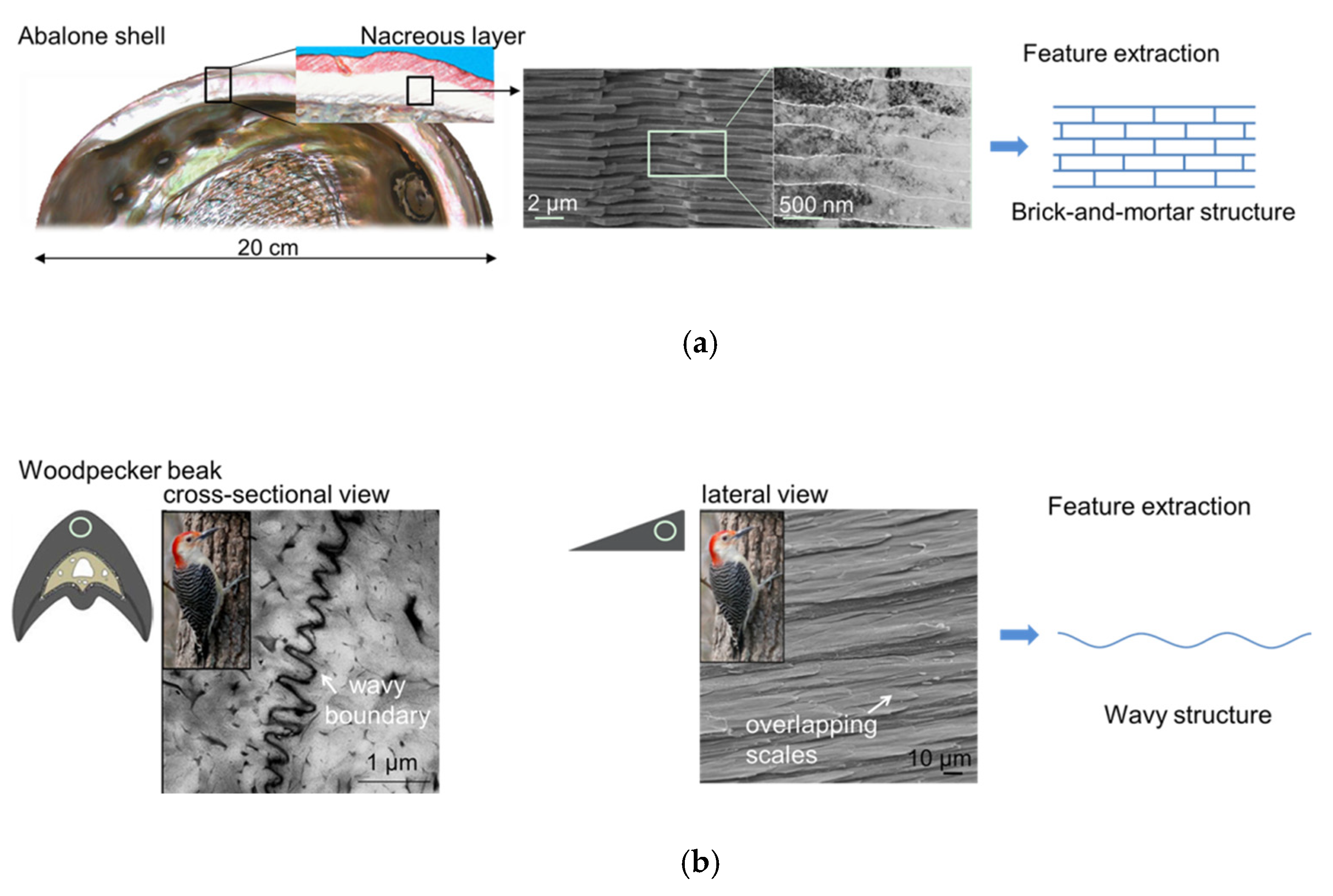 Polymers 13 03681 g001