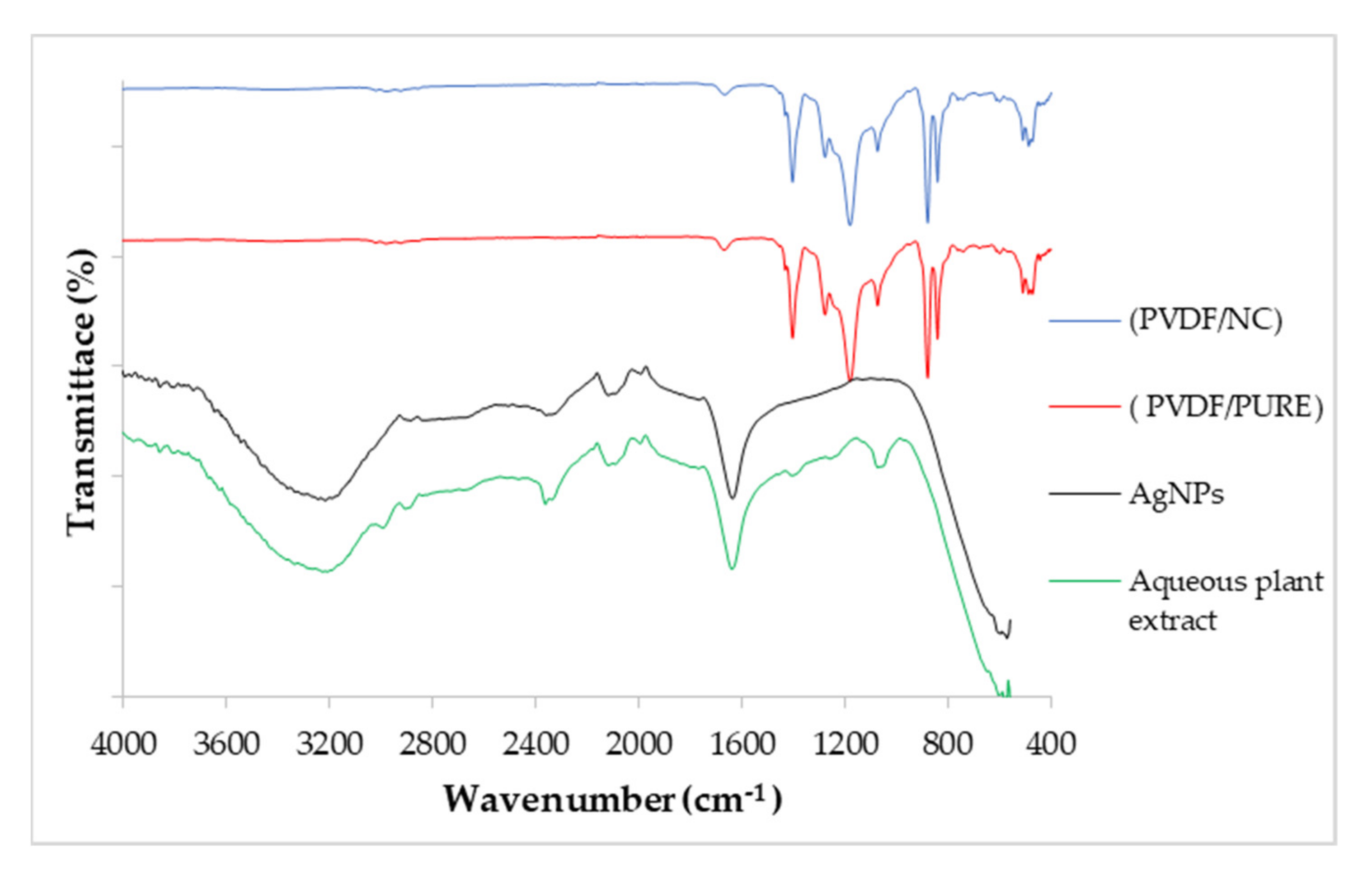 Polymers 13 03683 g006