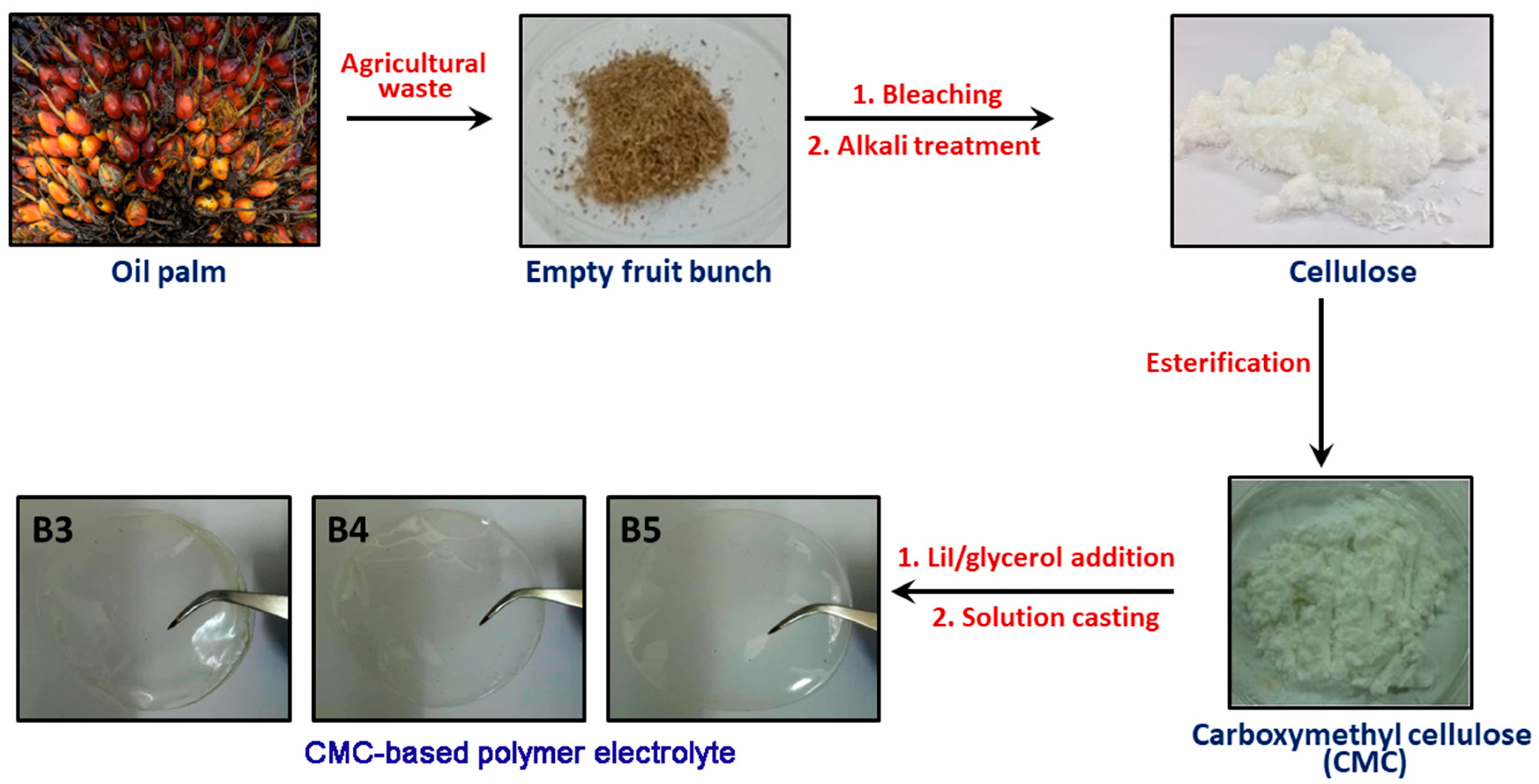 Polymers 13 03685 g001