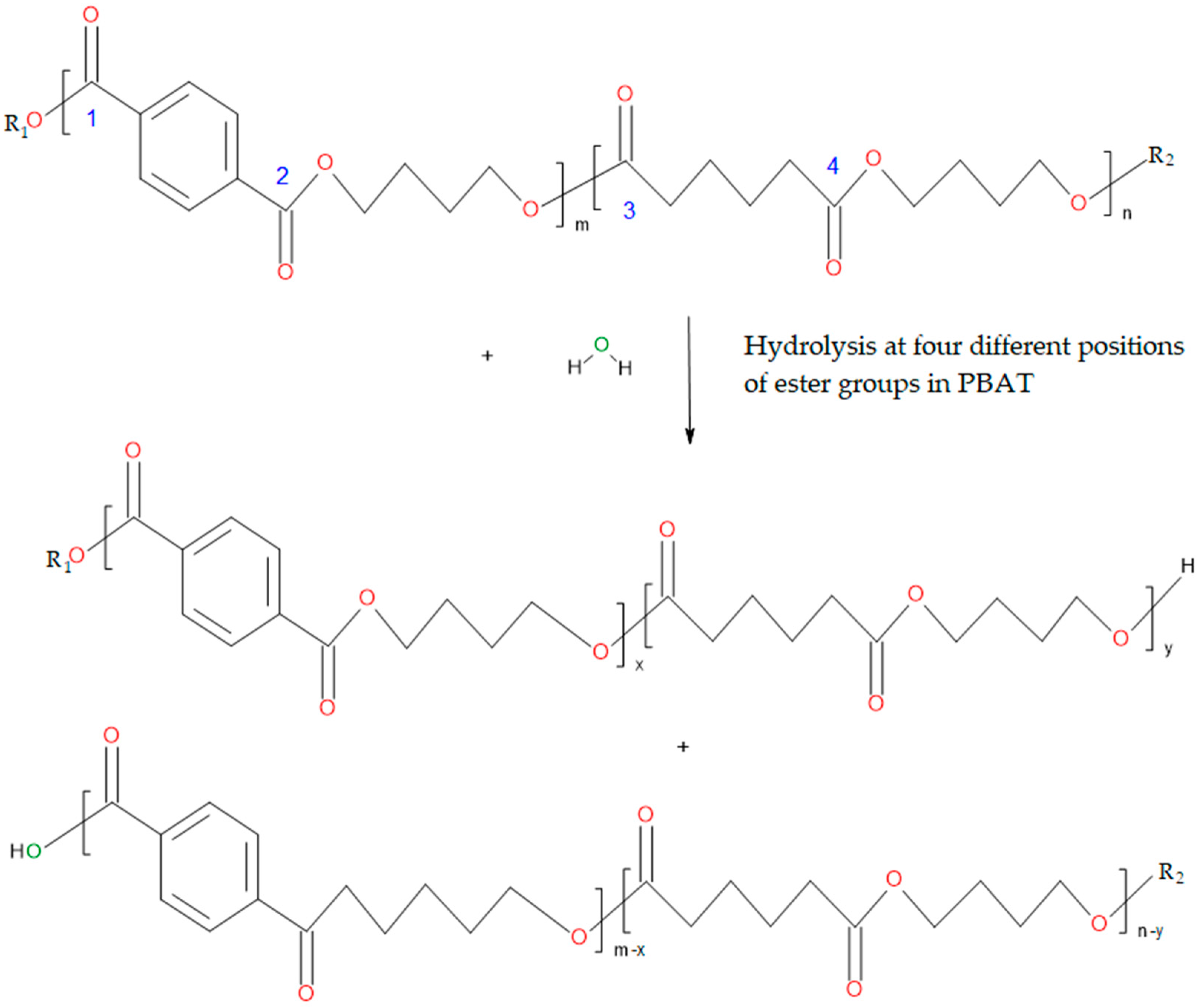 Polymers 13 03686 g003