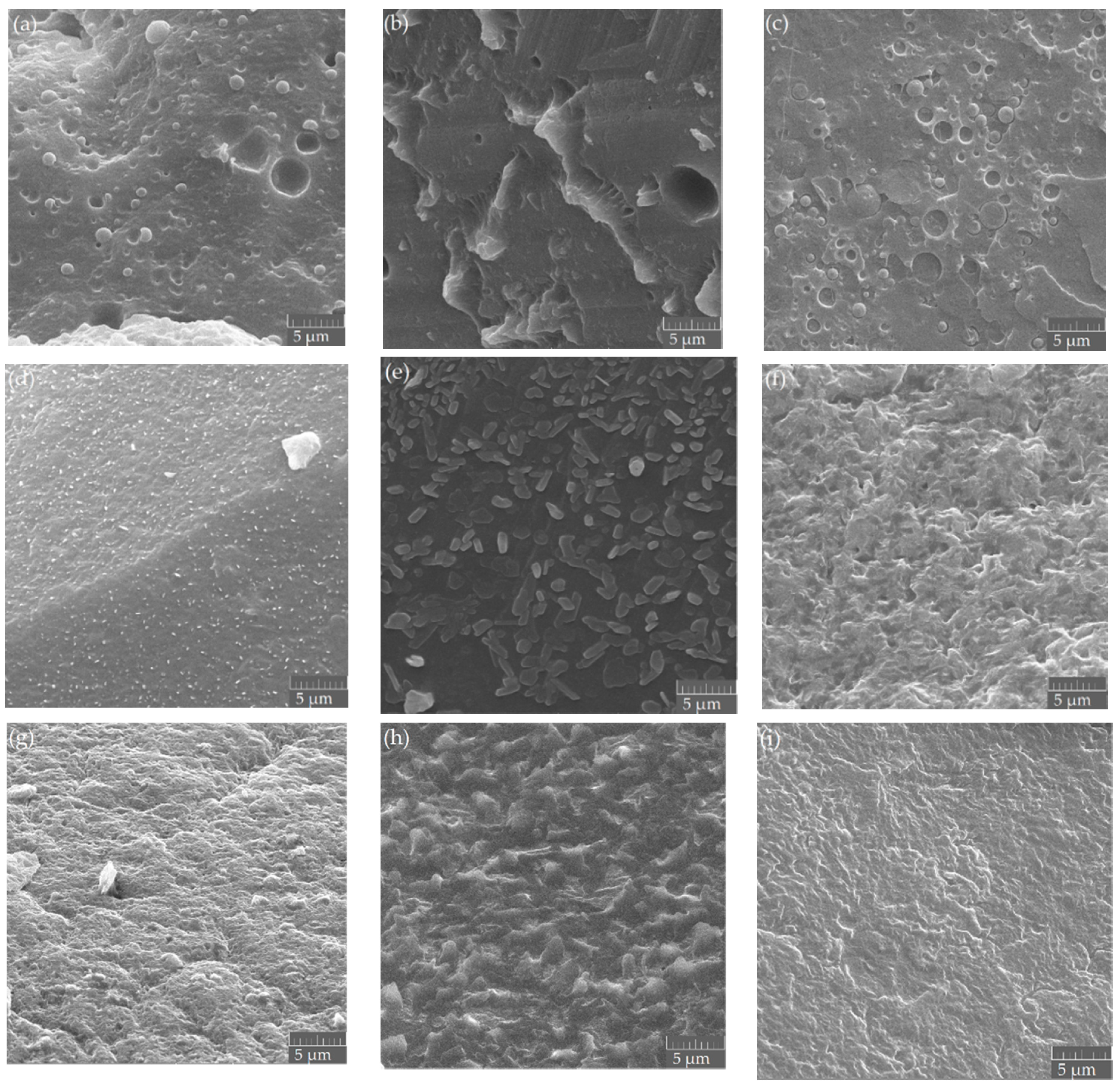 Polymers 13 03686 g006