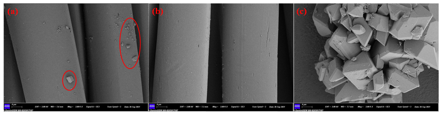Polymers 13 03687 g004