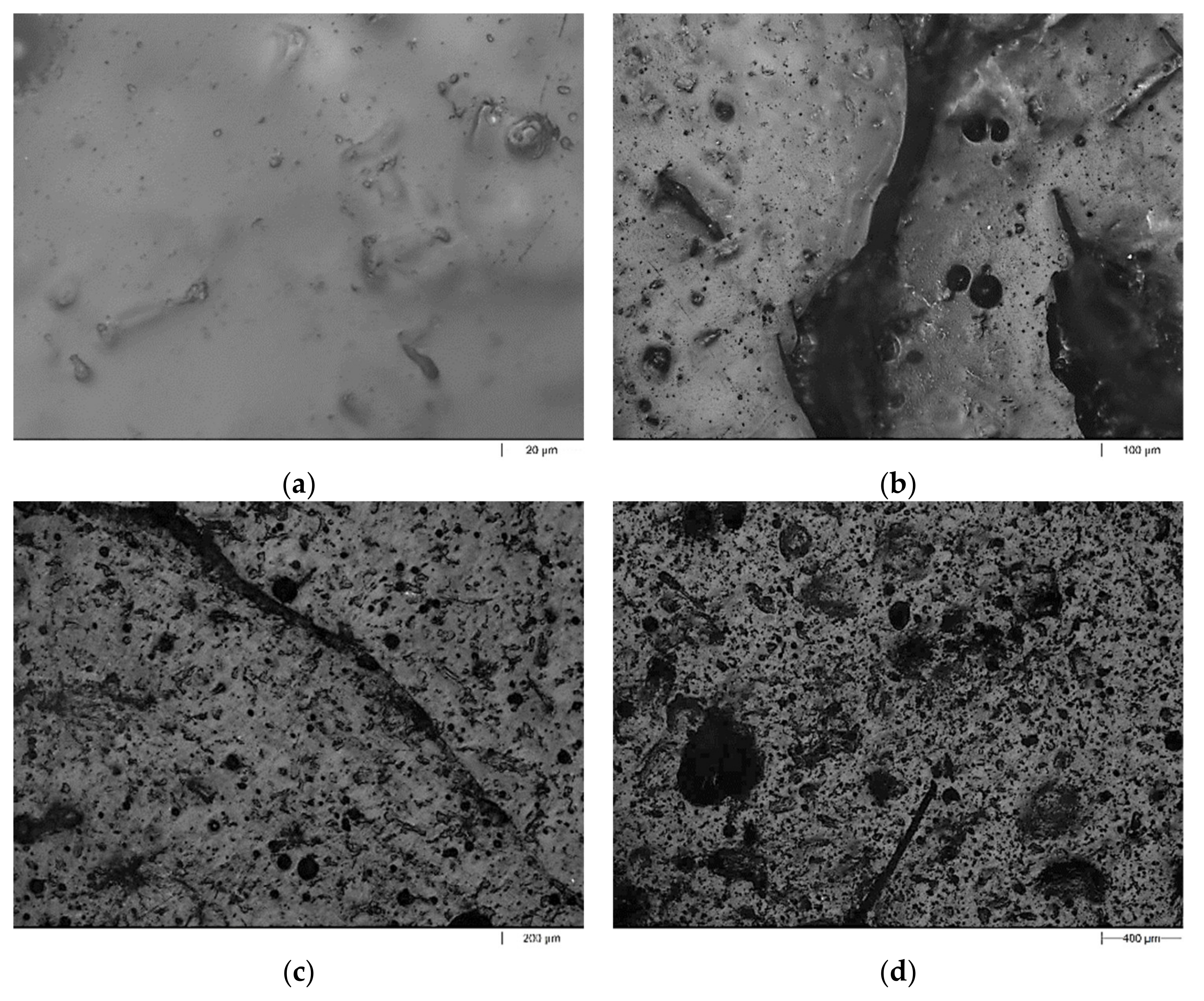 Polymers 13 03690 g010