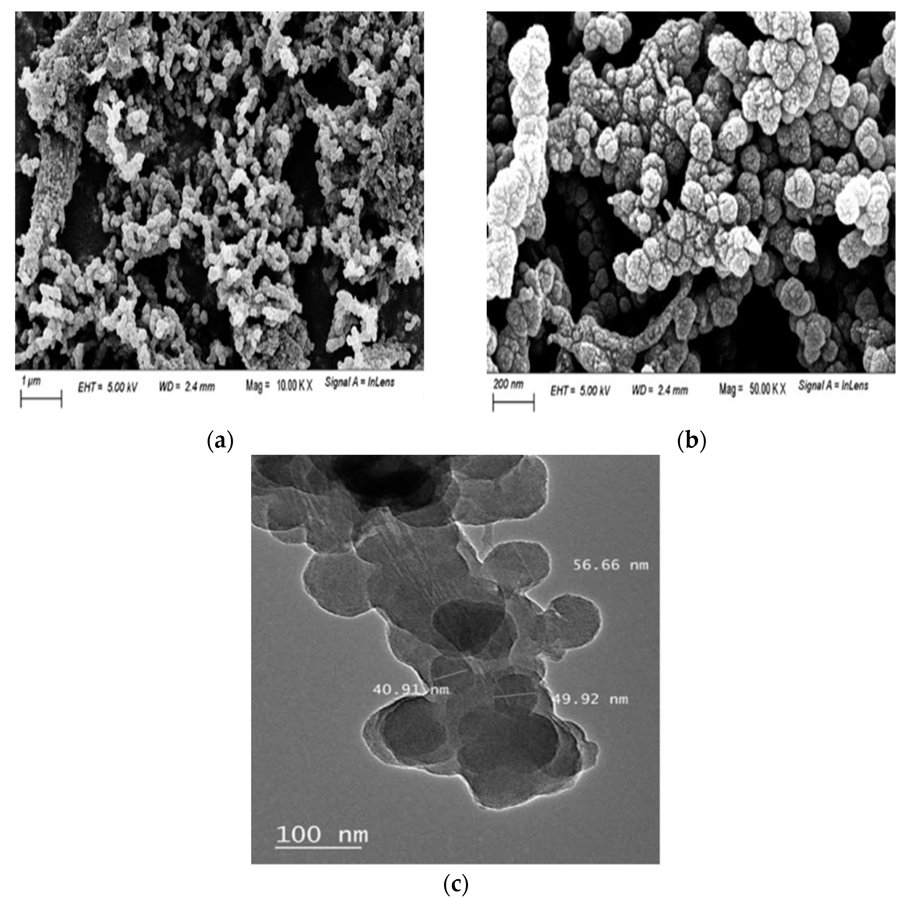 Polymers 13 03691 g002
