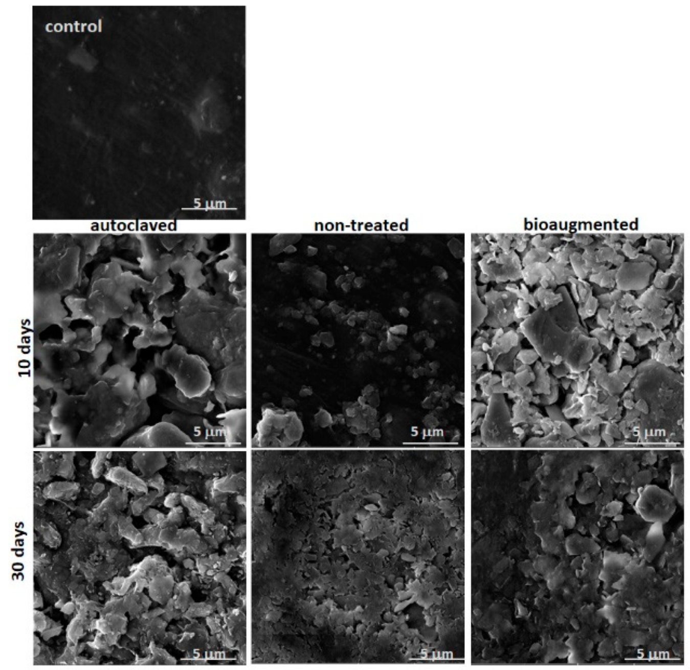 Polymers 13 03692 g008