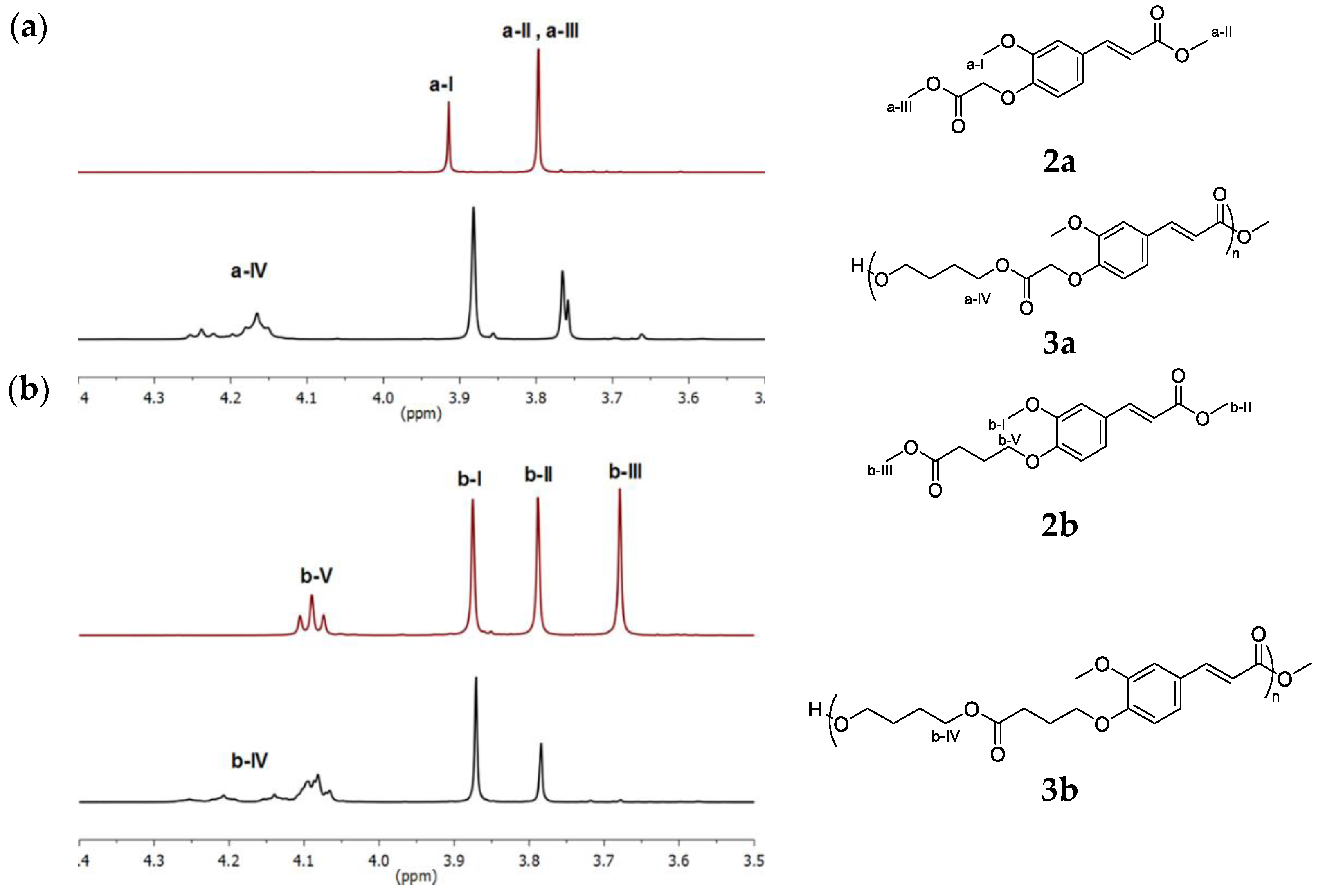 Polymers 13 03693 g001 Polymers 13 03693 g001