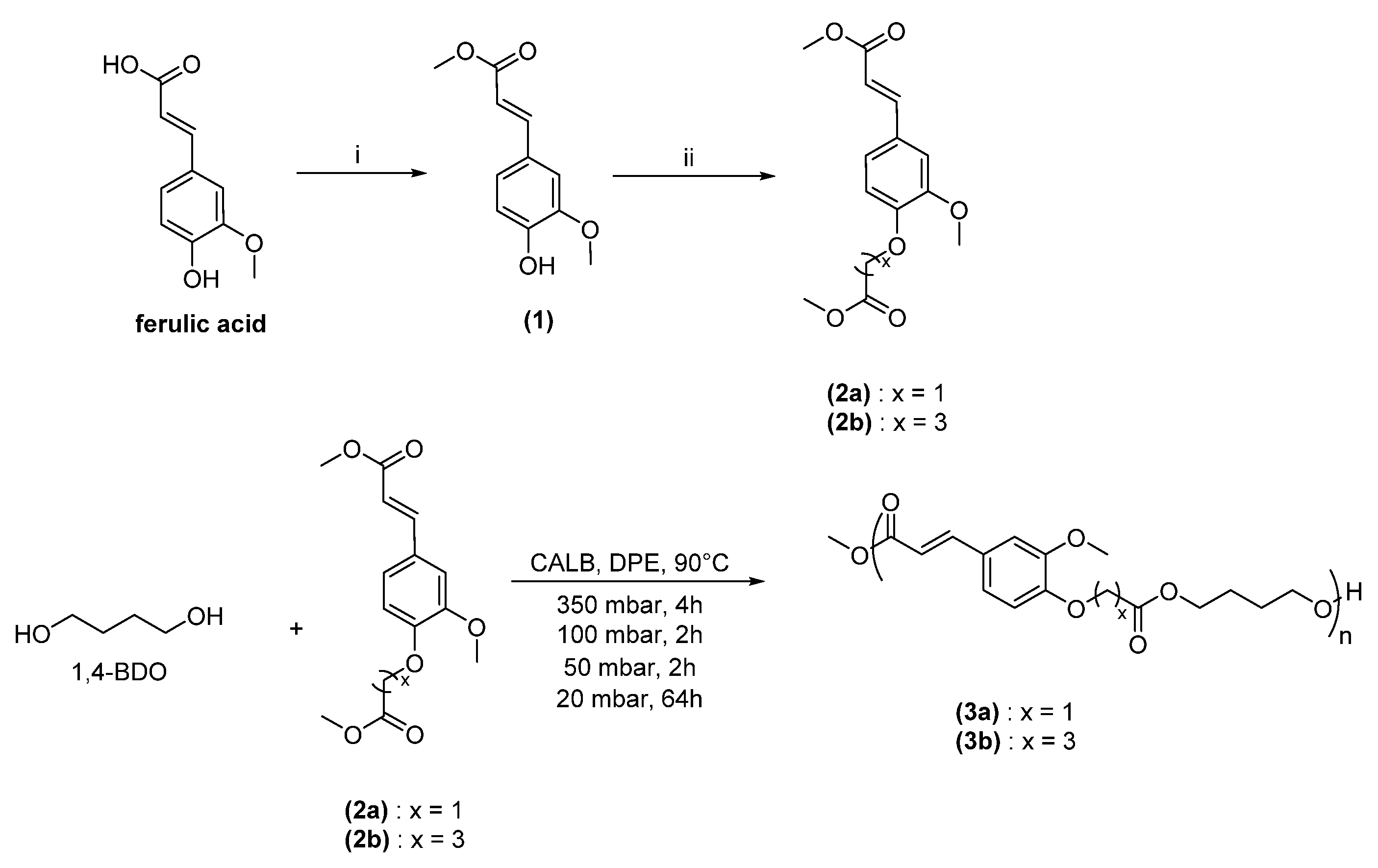 Polymers 13 03693 sch002 Polymers 13 03693 sch002