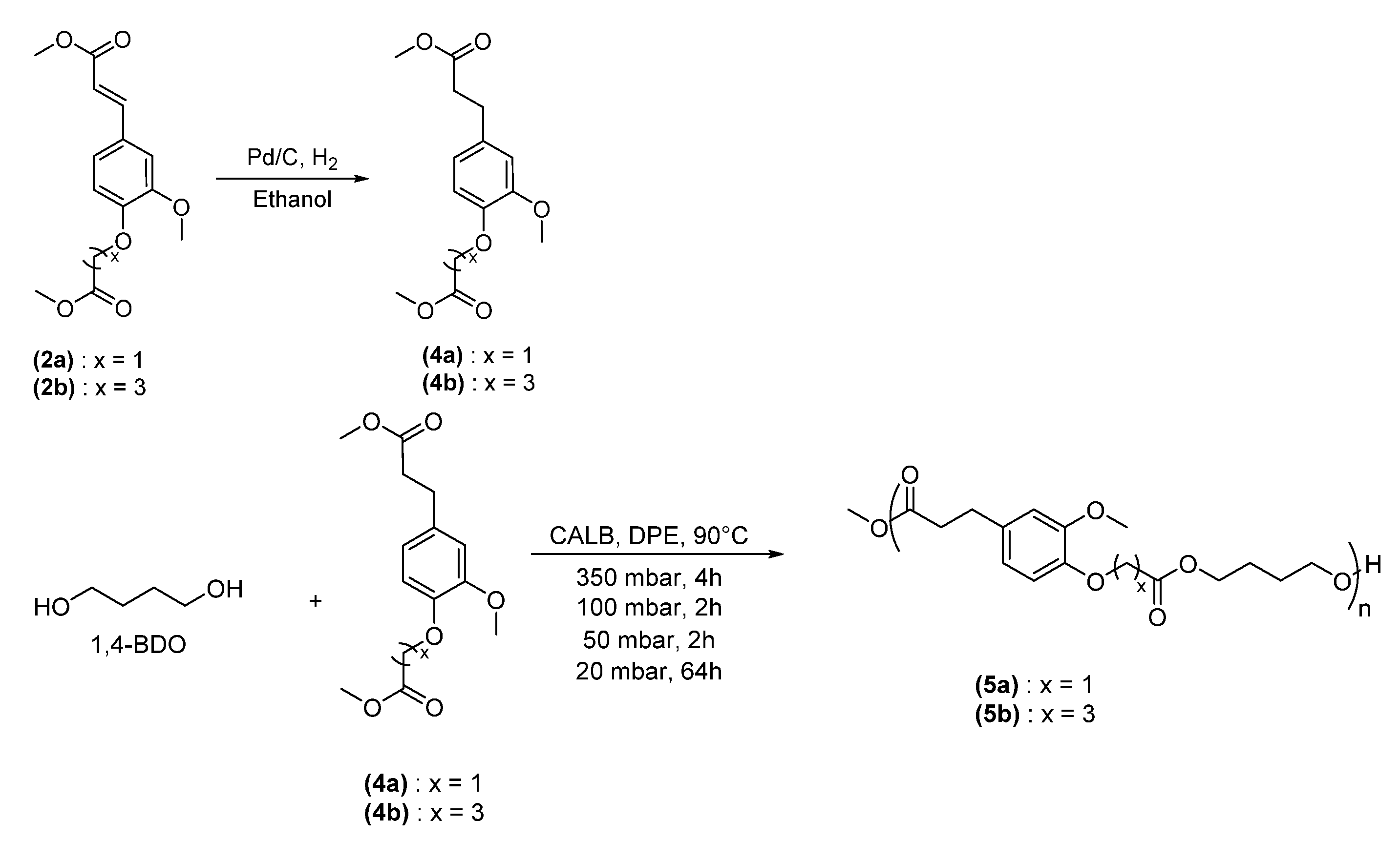 Polymers 13 03693 sch003 Polymers 13 03693 sch003