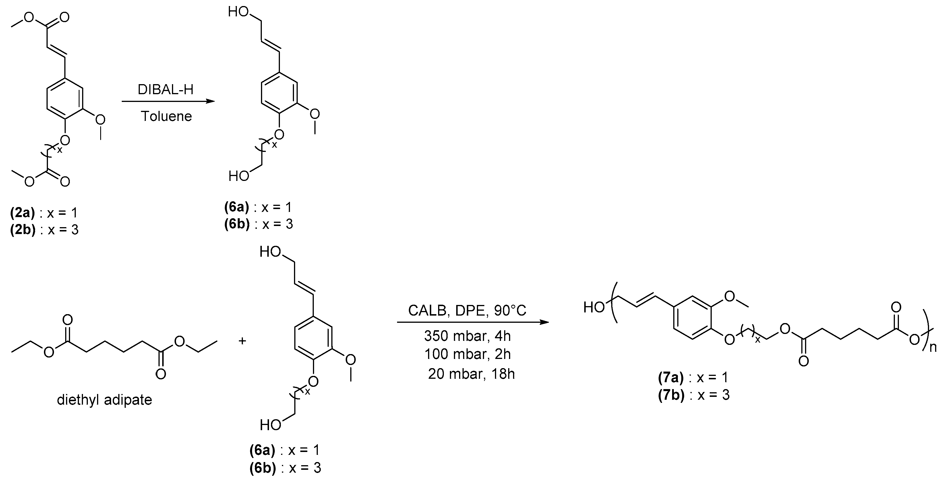 Polymers 13 03693 sch004 Polymers 13 03693 sch004