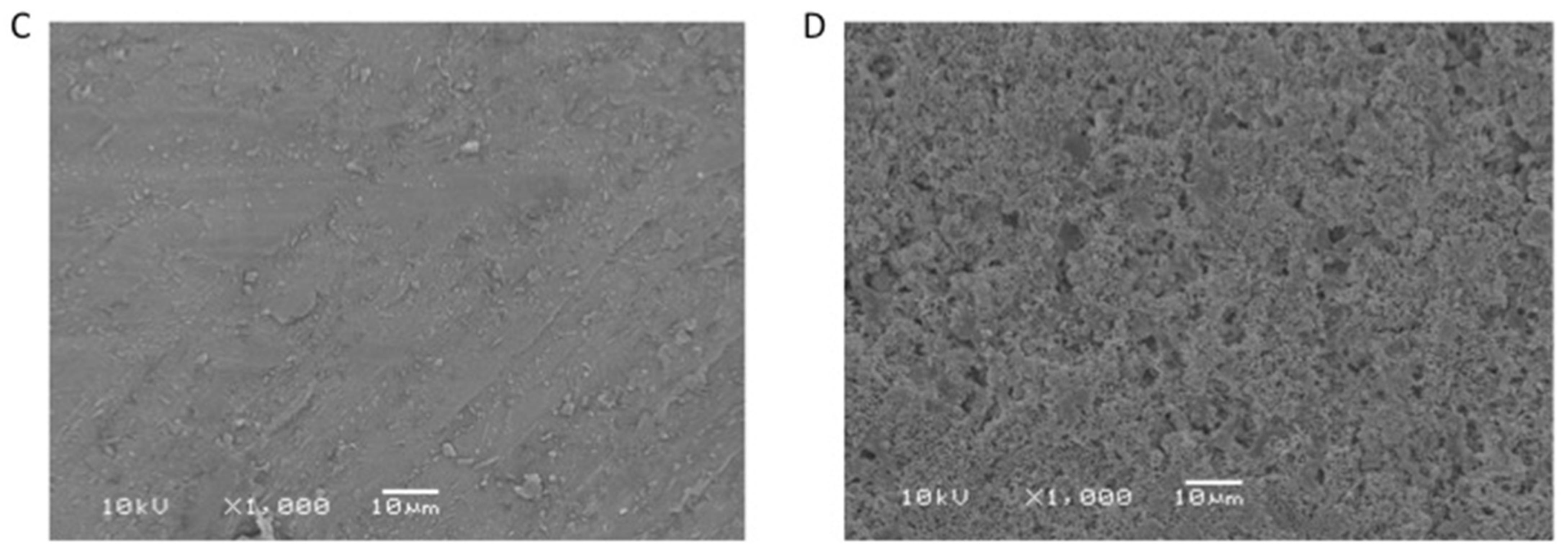 Polymers 13 03694 g004b