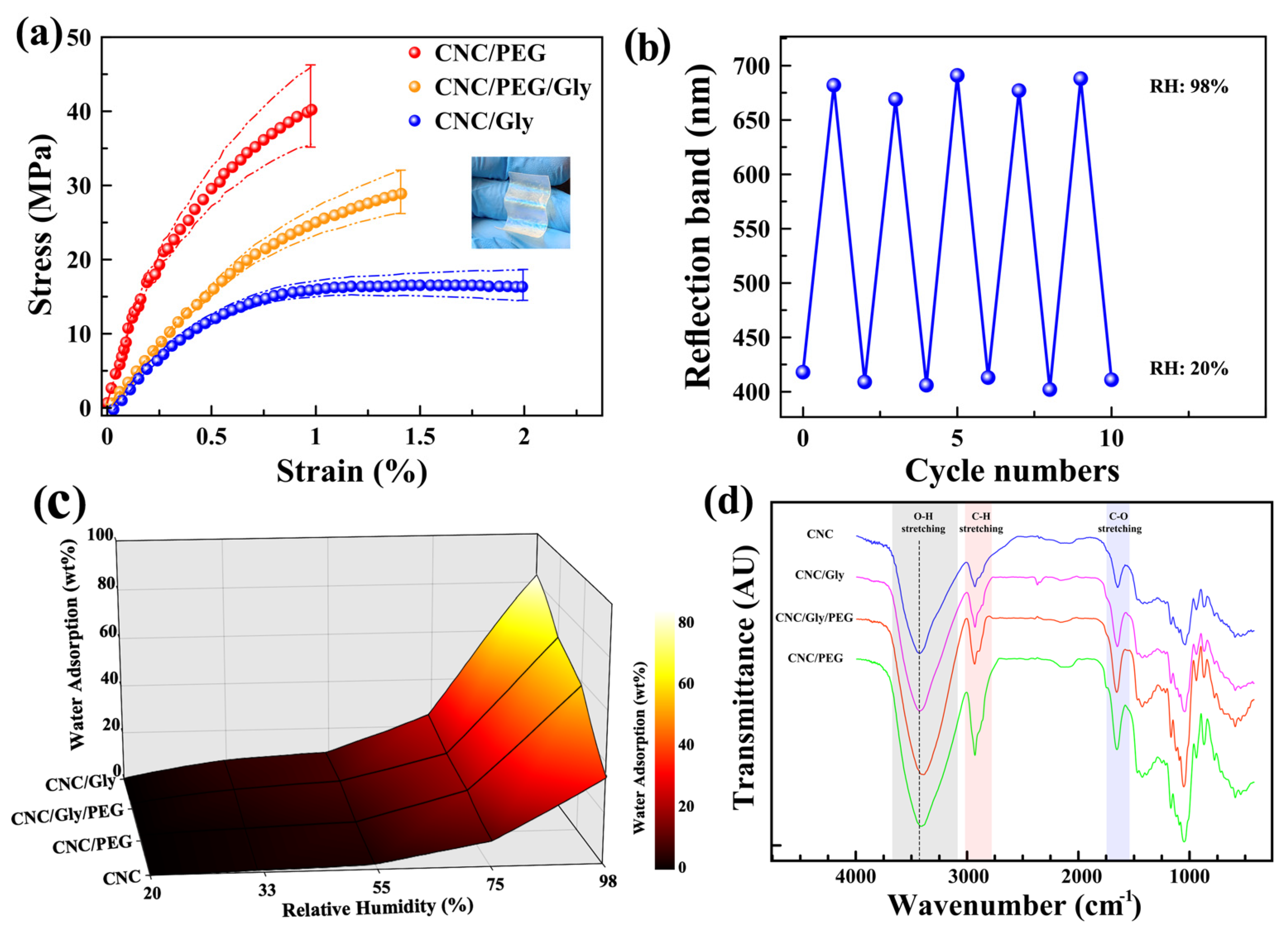 Polymers 13 03695 g005