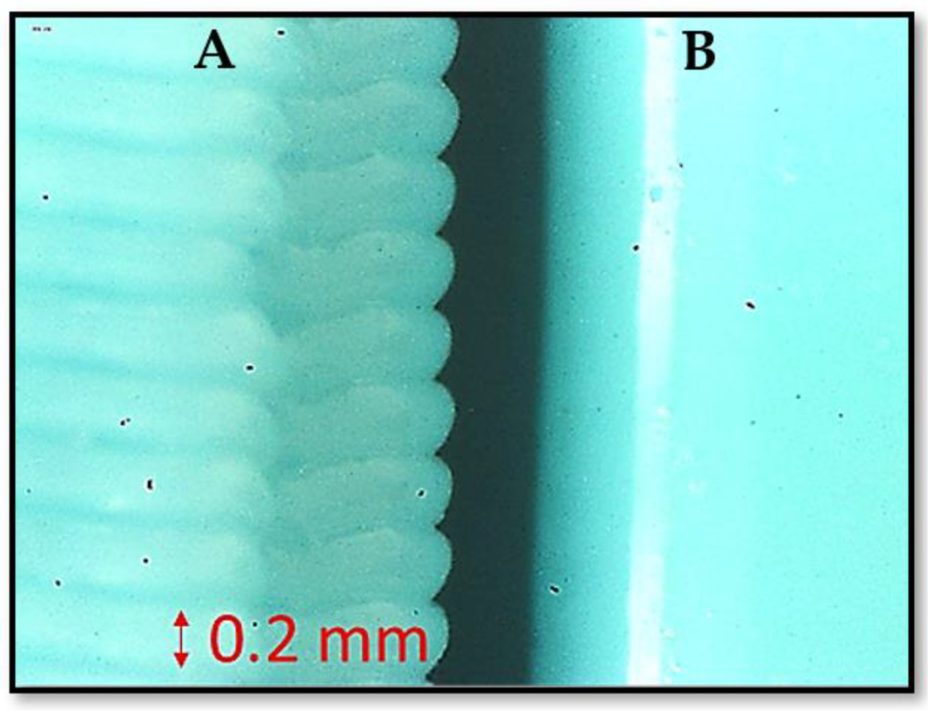 Polymers 13 03700 g001