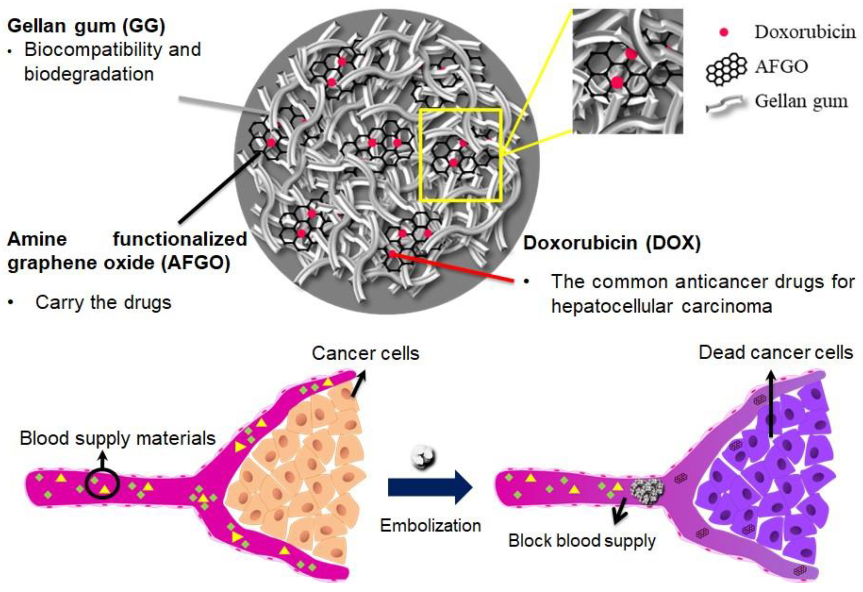 Polymers 13 03701 g001